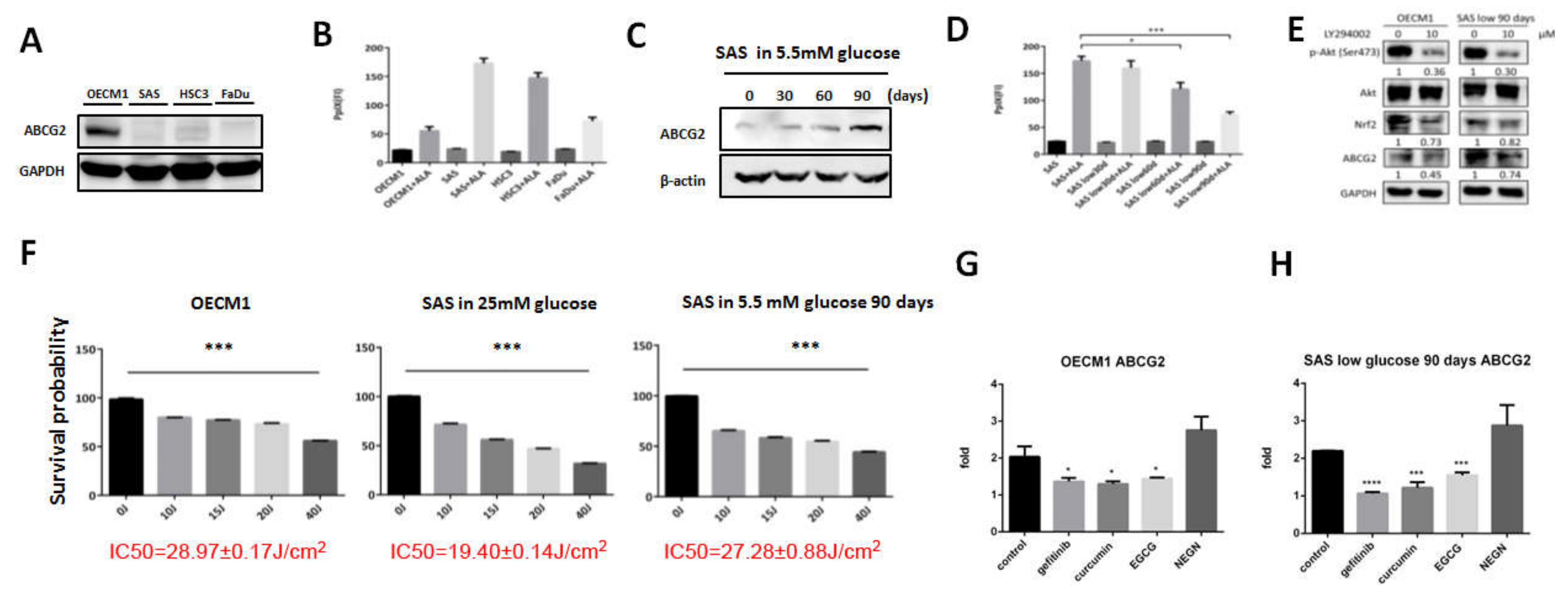 Biomolecules 10 01335 g001 Biomolecules 10 01335 g001