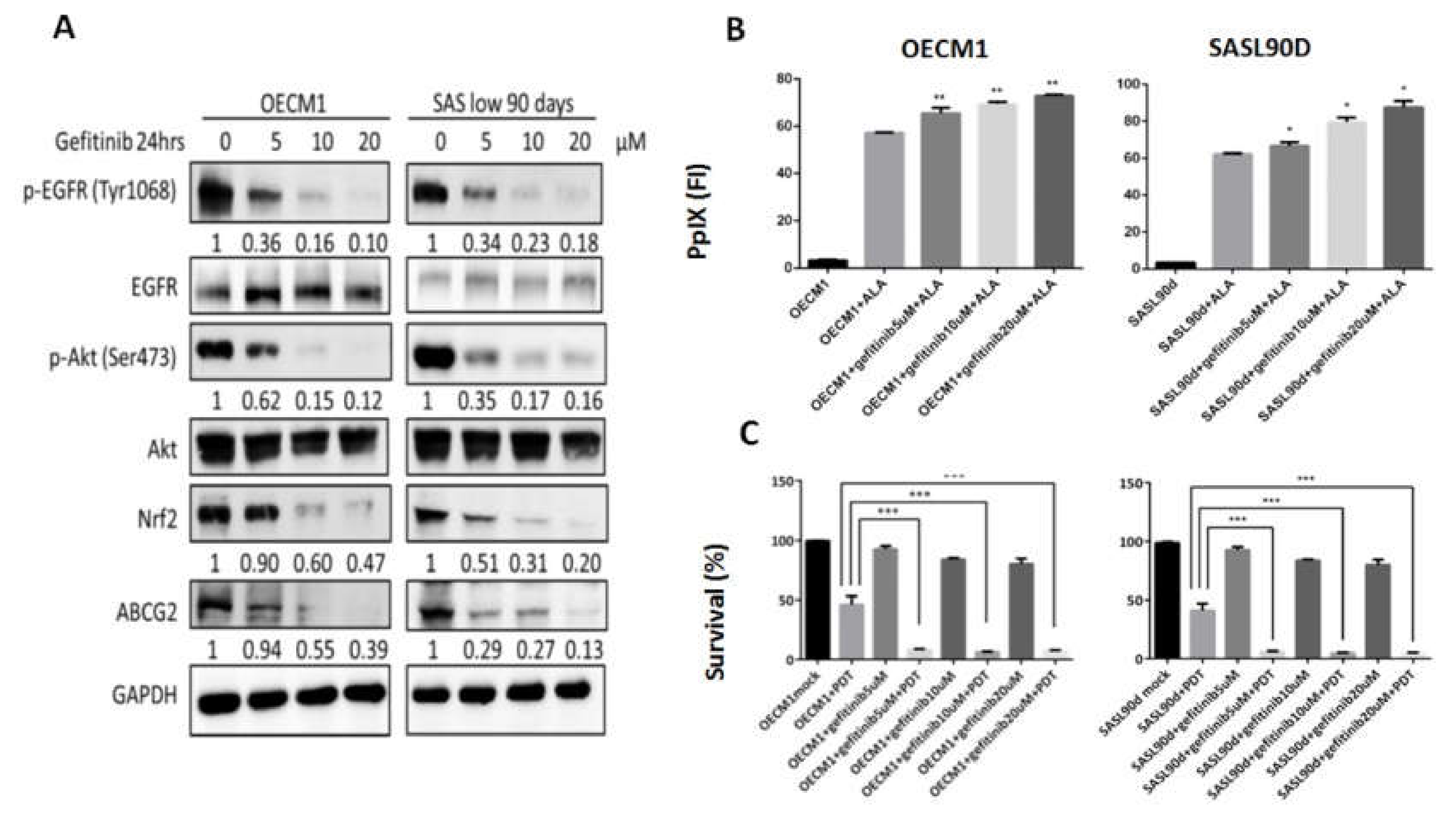 Biomolecules 10 01335 g002 Biomolecules 10 01335 g002