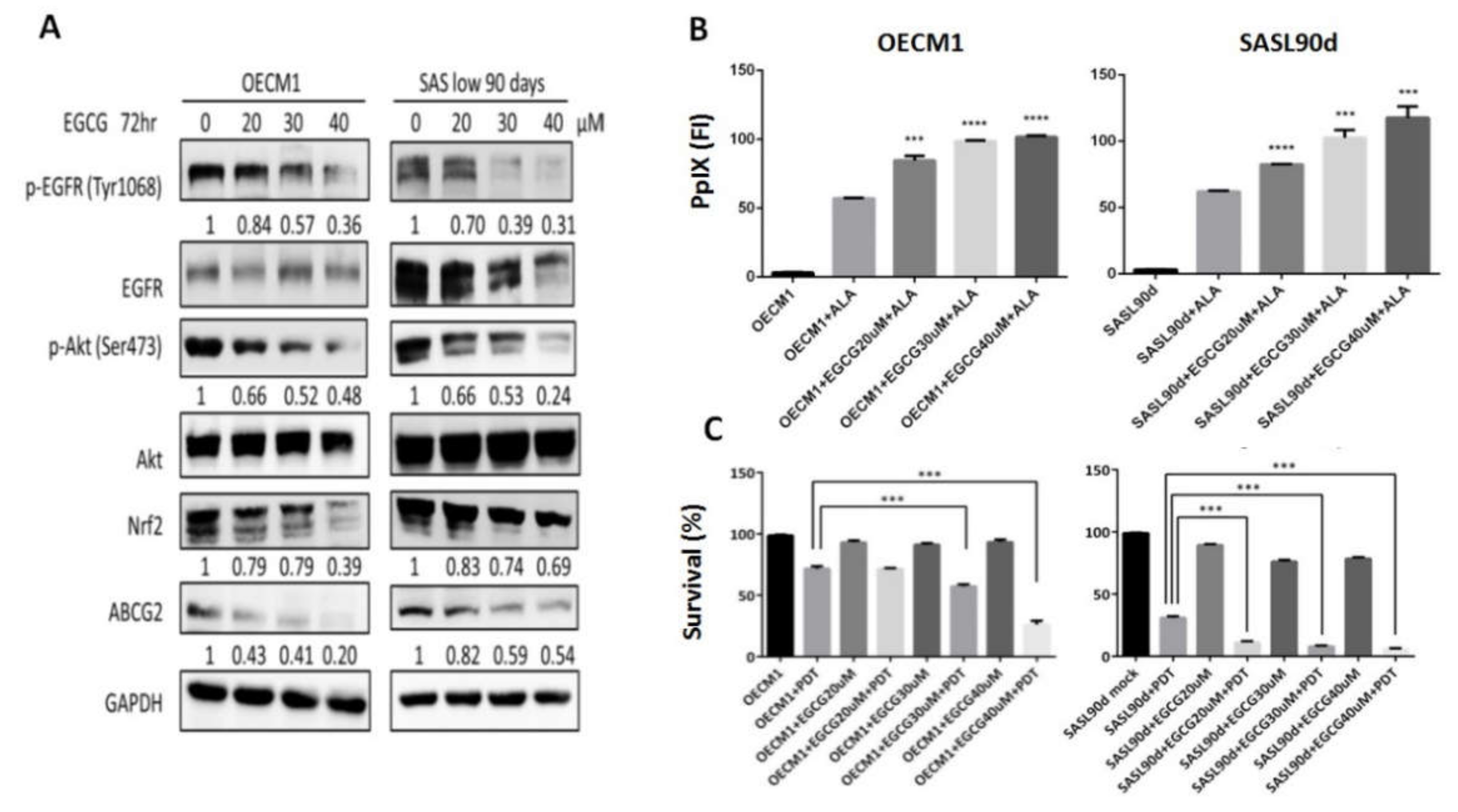 Biomolecules 10 01335 g003 Biomolecules 10 01335 g003