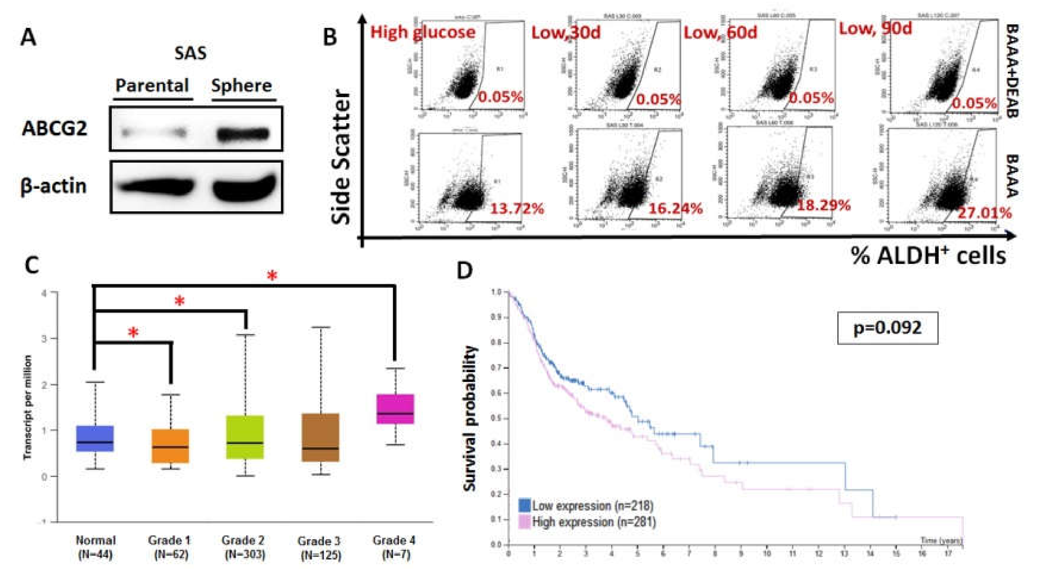 Biomolecules 10 01335 g005 Biomolecules 10 01335 g005