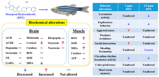 Biomolecules Free Full Text Evaluation Of The Adverse Effects Of Chronic Exposure To Donepezil An Acetylcholinesterase Inhibitor In Adult Zebrafish By Behavioral And Biochemical Assessments Html Biomolecules Free Full Text Evaluation Of The Adverse Effects Of Chronic Exposure To Donepezil An Acetylcholinesterase Inhibitor In Adult Zebrafish By Behavioral And Biochemical Assessments Html