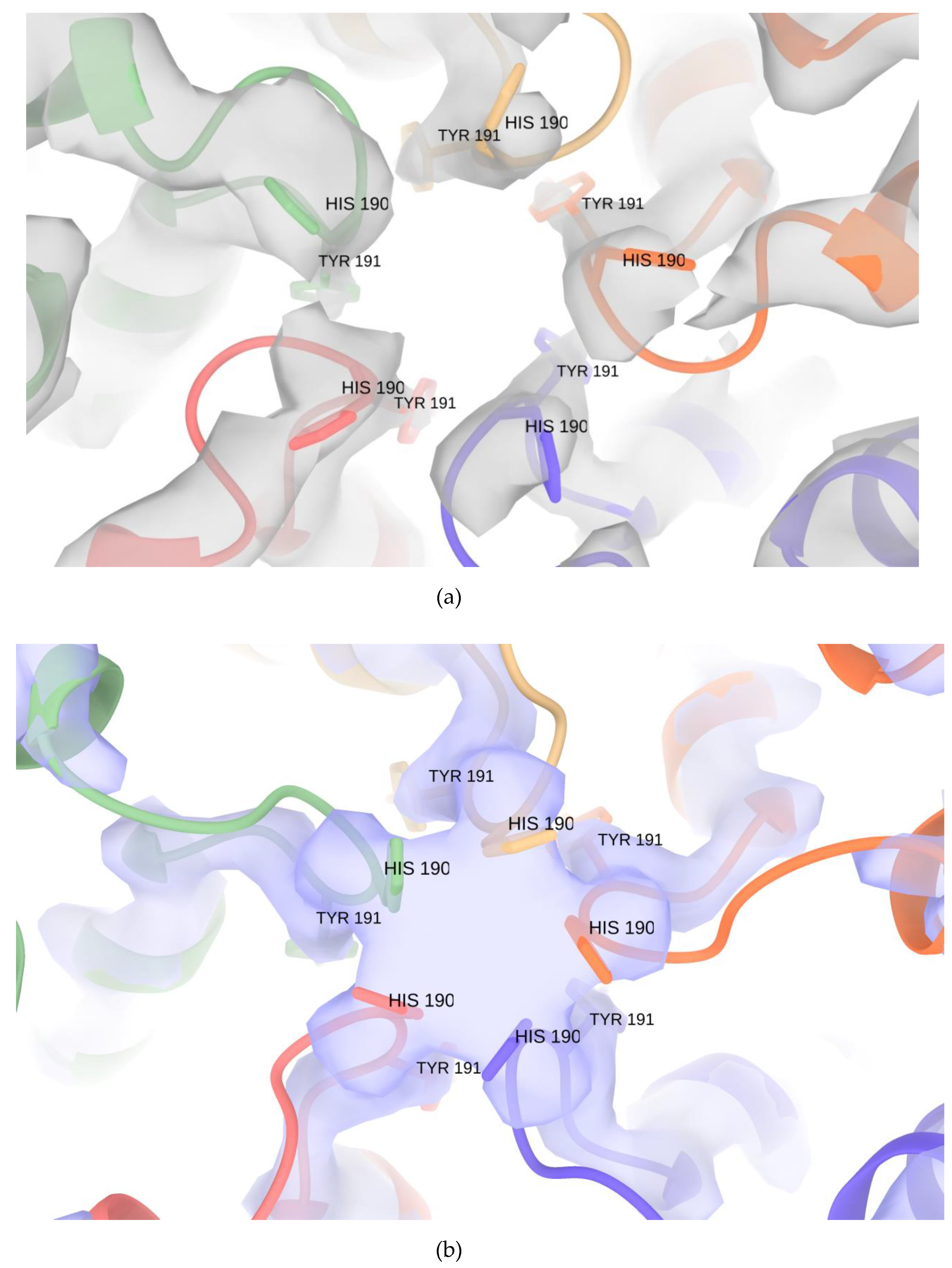 Biomolecules 10 01342 g005 Biomolecules 10 01342 g005