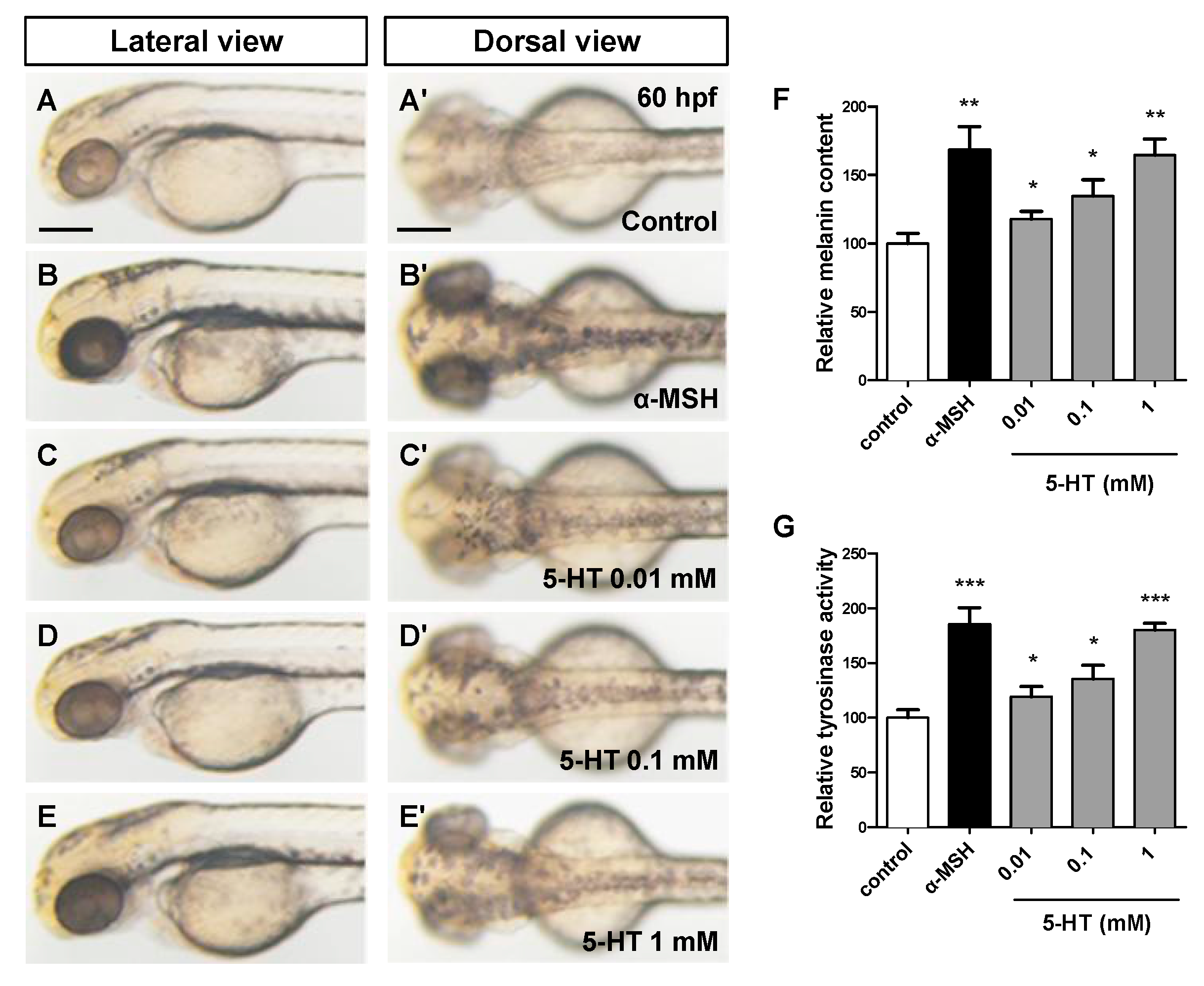 Biomolecules 10 01344 g001 Biomolecules 10 01344 g001