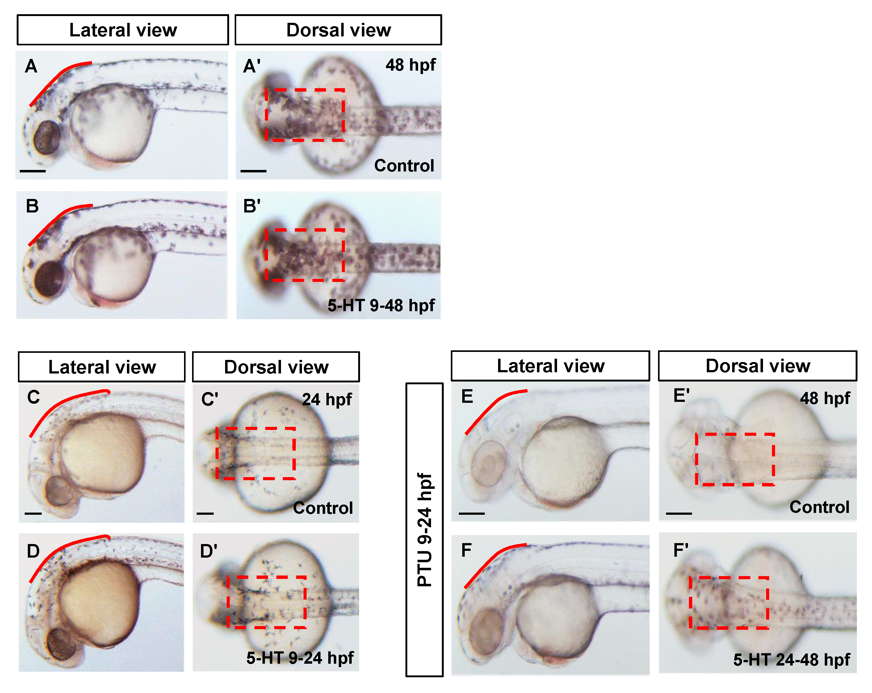 Biomolecules 10 01344 g002 Biomolecules 10 01344 g002