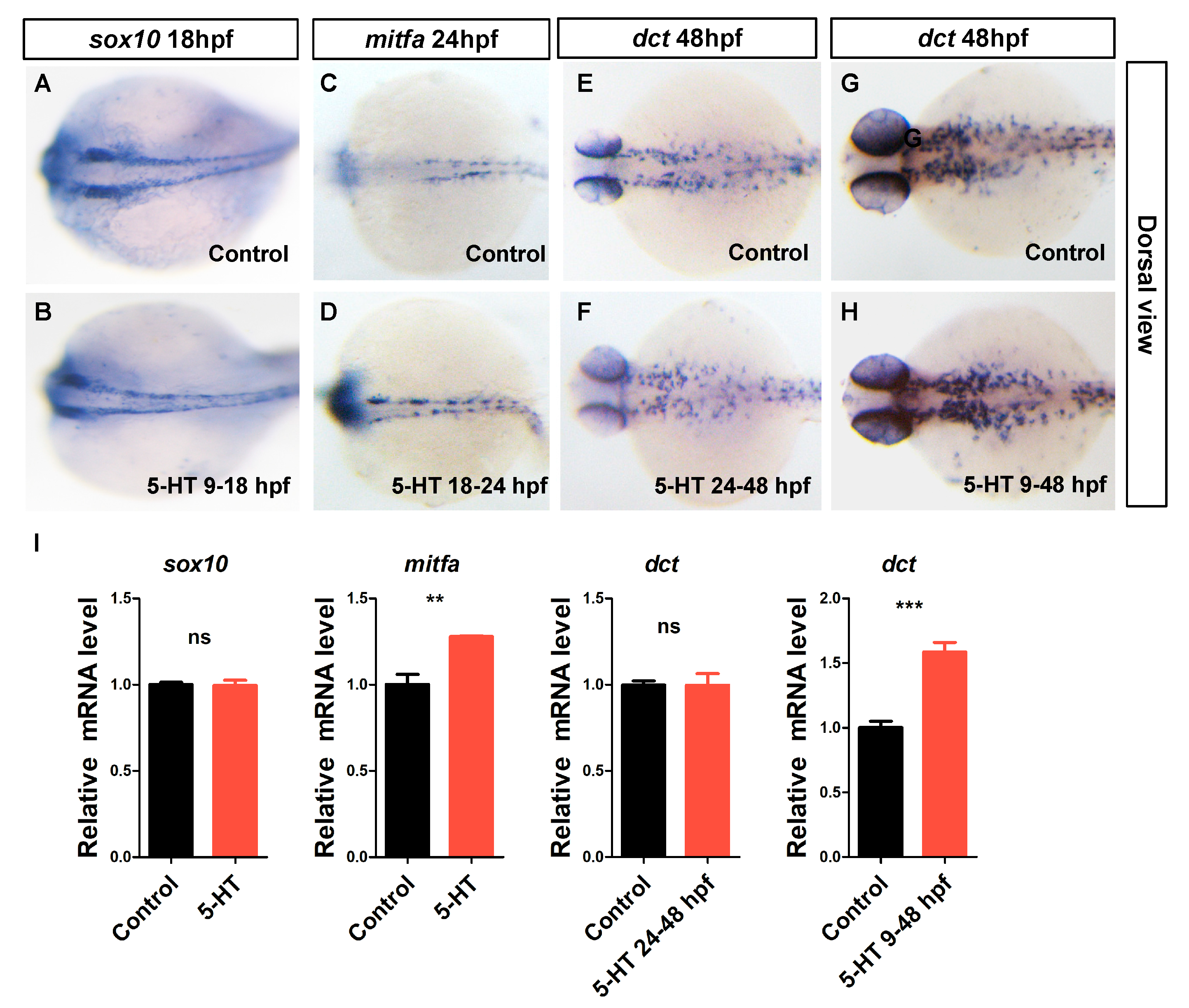 Biomolecules 10 01344 g003 Biomolecules 10 01344 g003