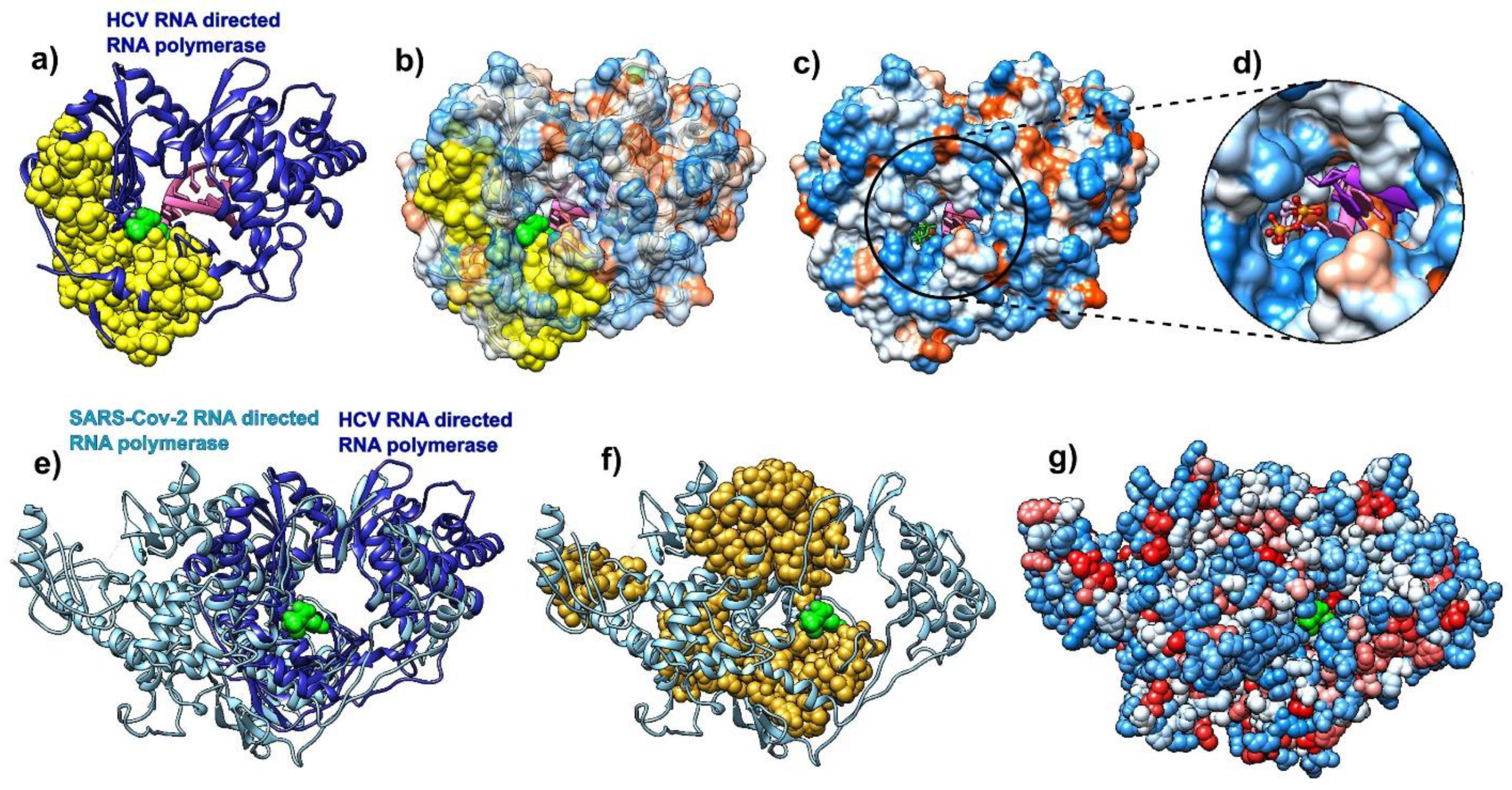 Biomolecules 10 01346 g004 Biomolecules 10 01346 g004