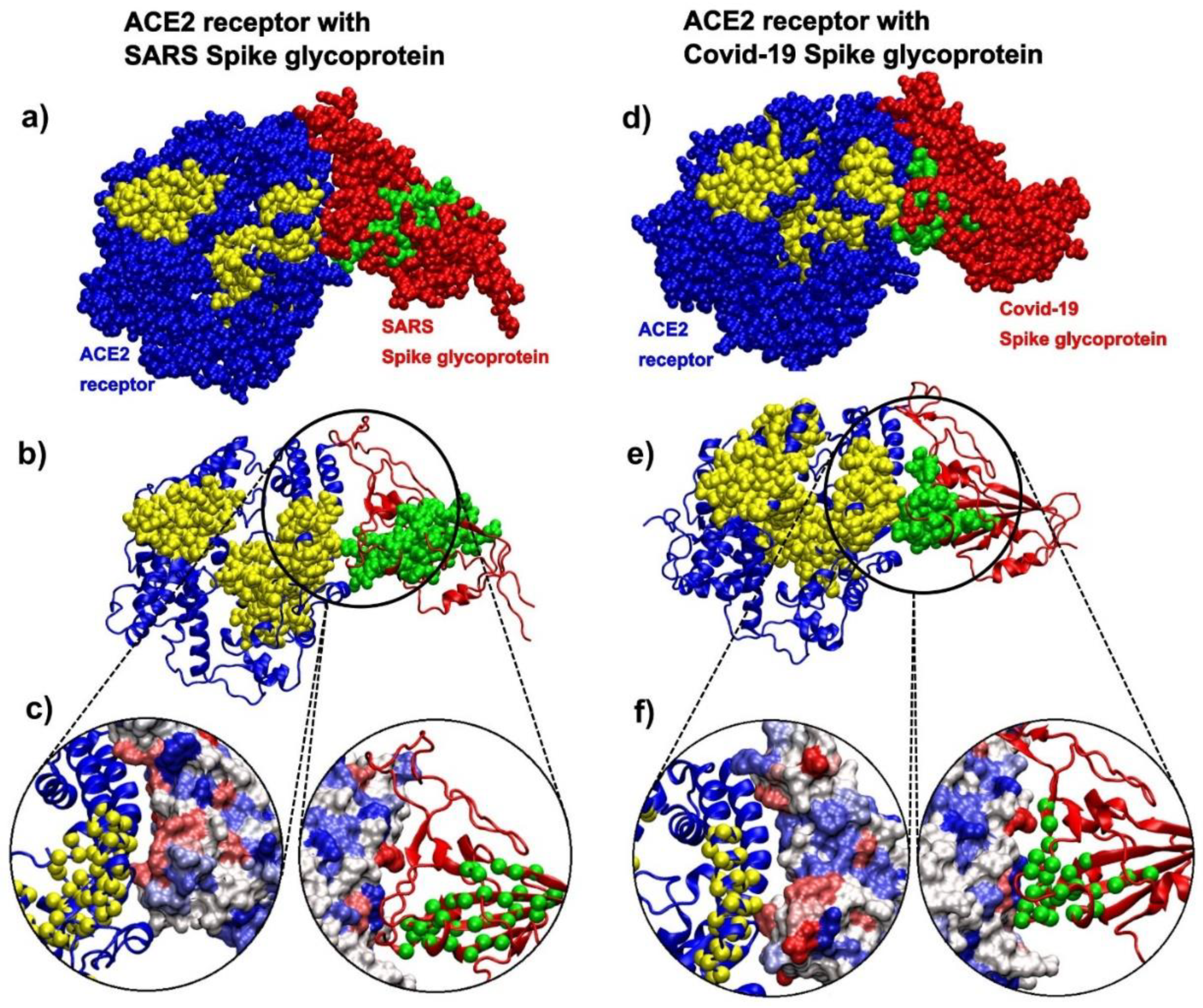 Biomolecules 10 01346 g008 Biomolecules 10 01346 g008