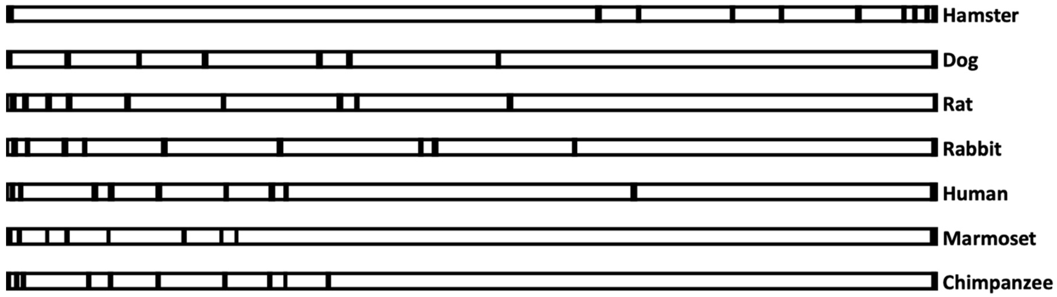 Biomolecules 10 01351 g001 Biomolecules 10 01351 g001