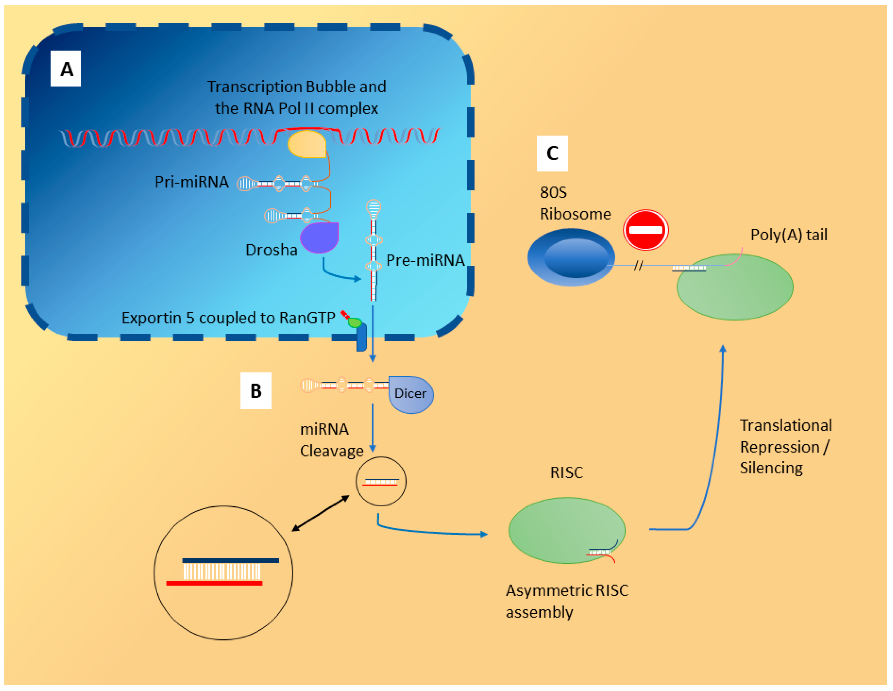 Biomolecules 10 01354 g001 Biomolecules 10 01354 g001