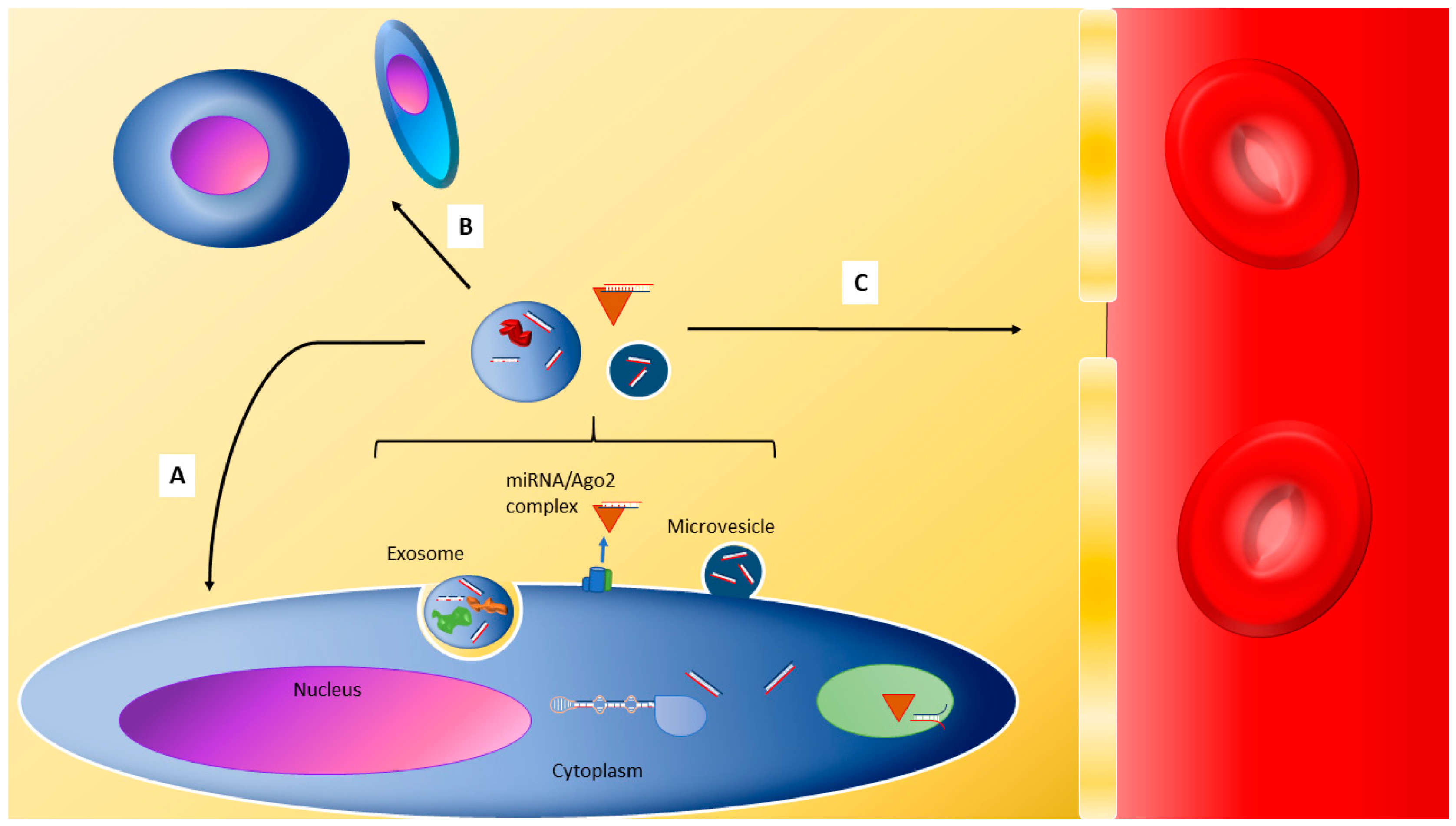 Biomolecules 10 01354 g002 Biomolecules 10 01354 g002