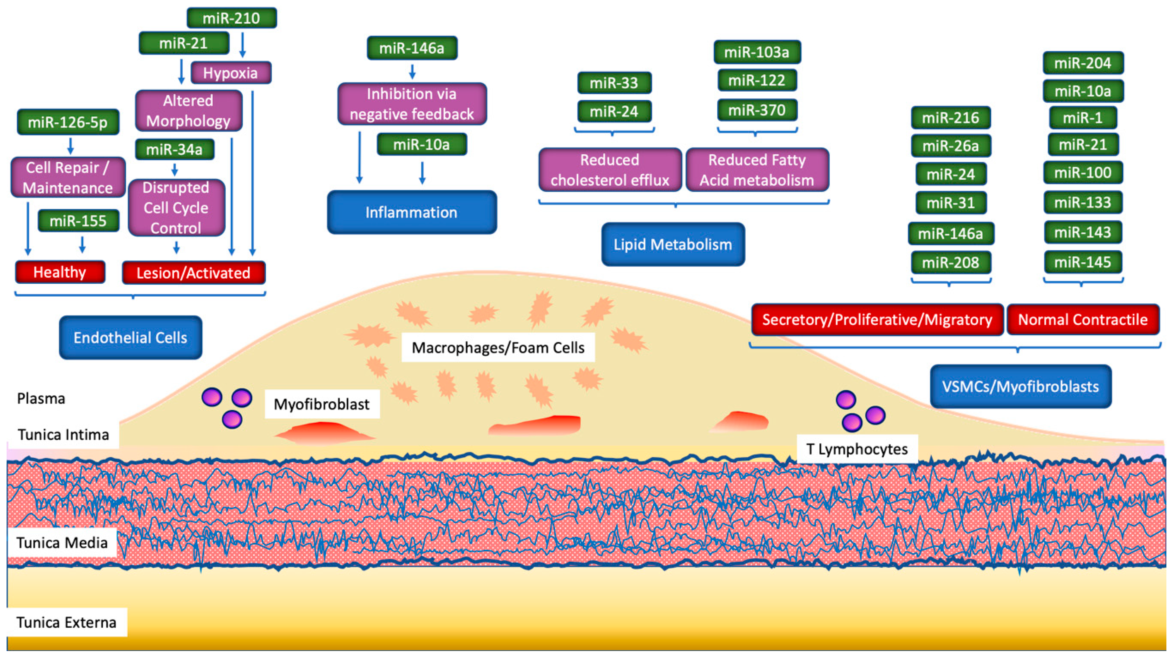 Biomolecules 10 01354 g003 Biomolecules 10 01354 g003