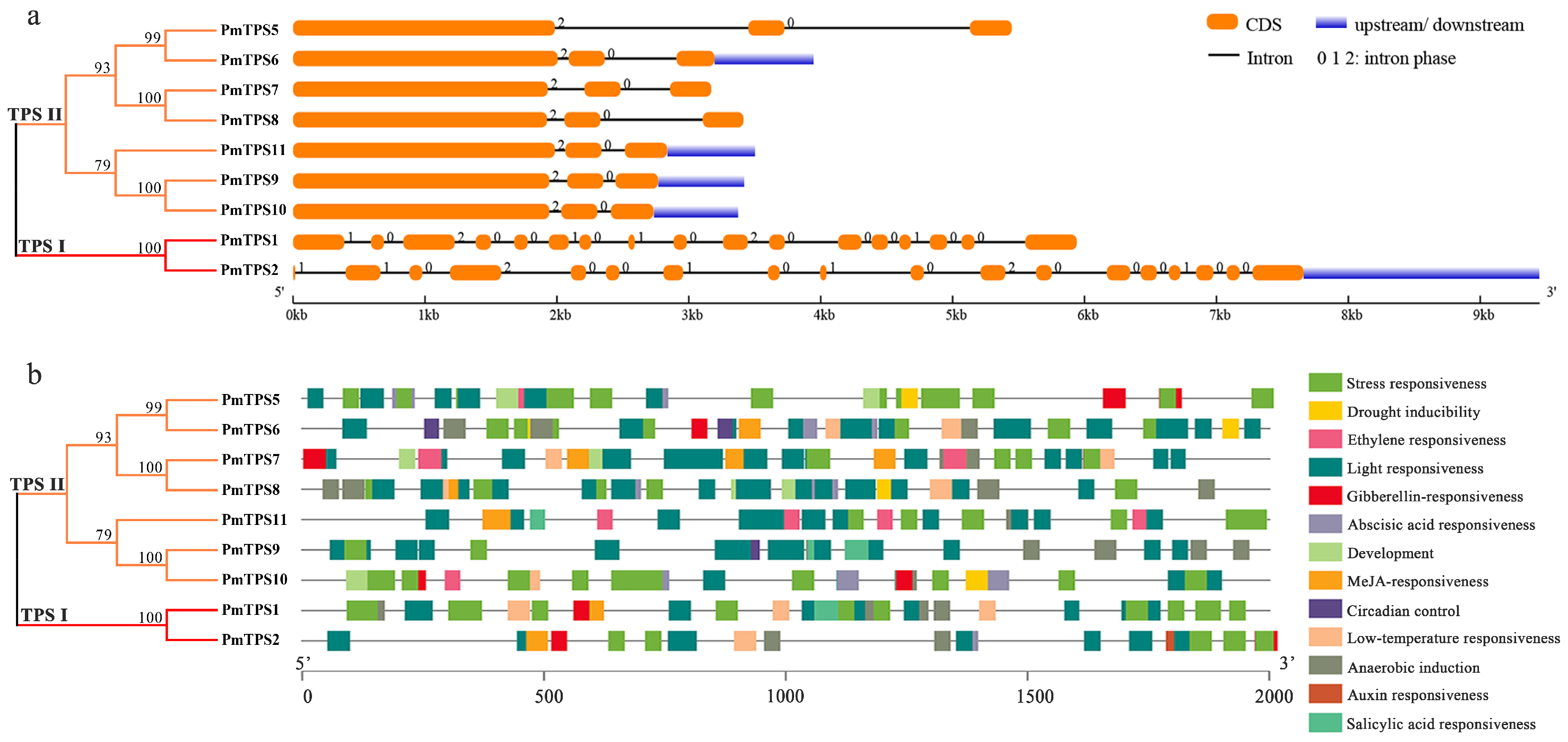 Biomolecules 10 01358 g004