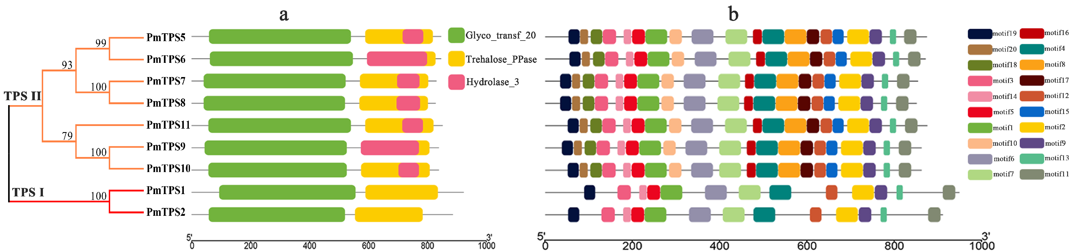 Biomolecules 10 01358 g005