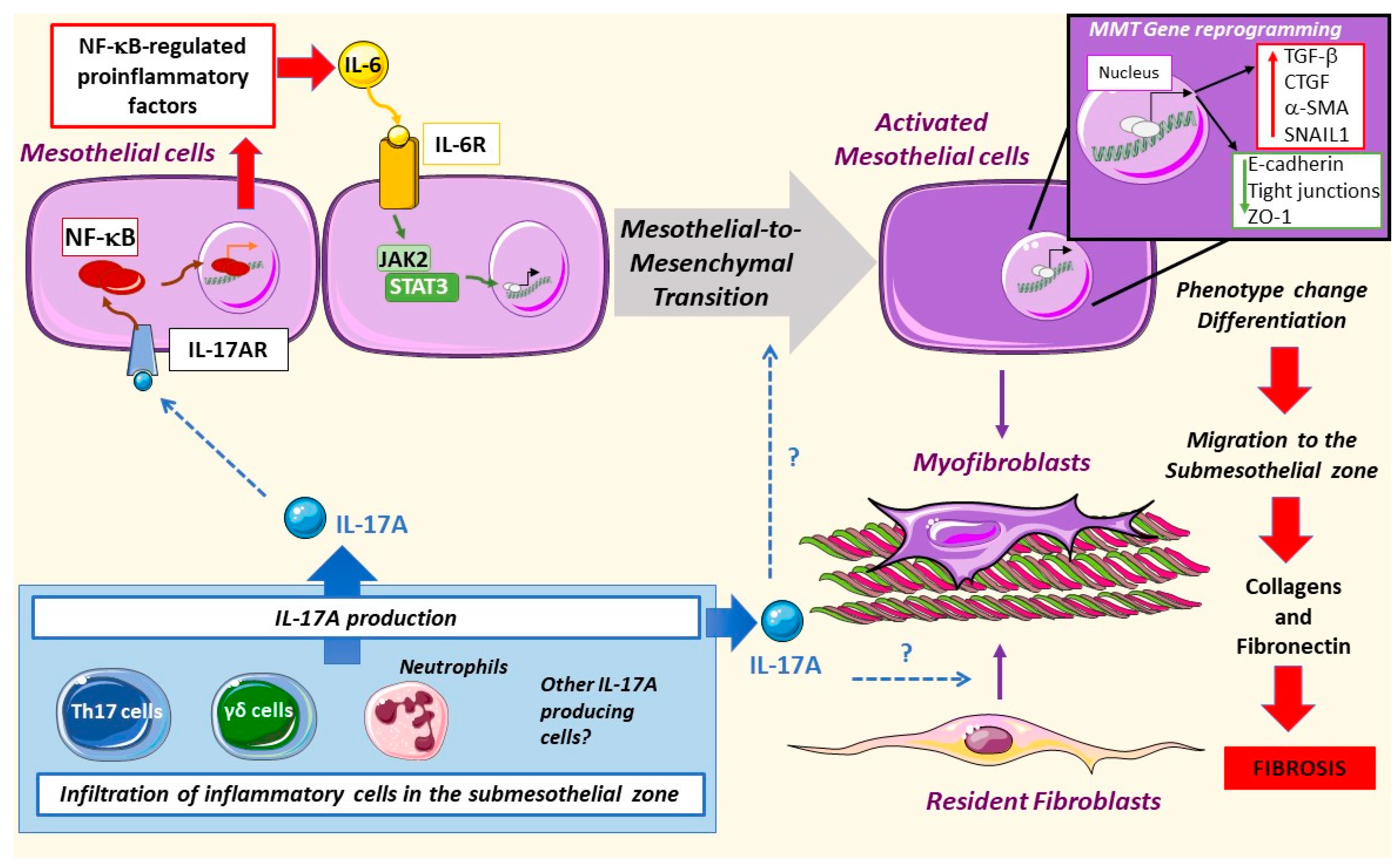 Biomolecules 10 01361 g003 Biomolecules 10 01361 g003