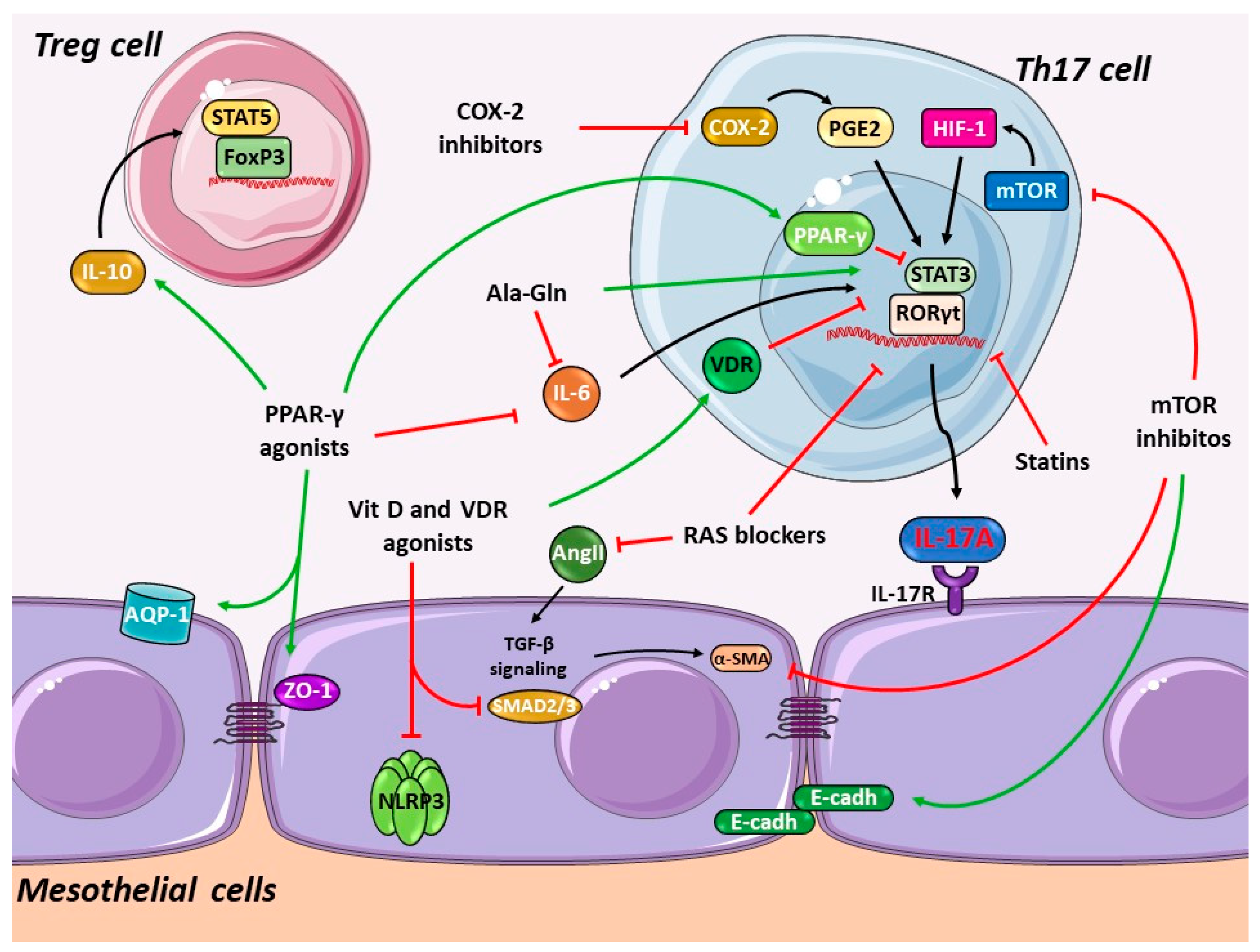 Biomolecules 10 01361 g004 Biomolecules 10 01361 g004
