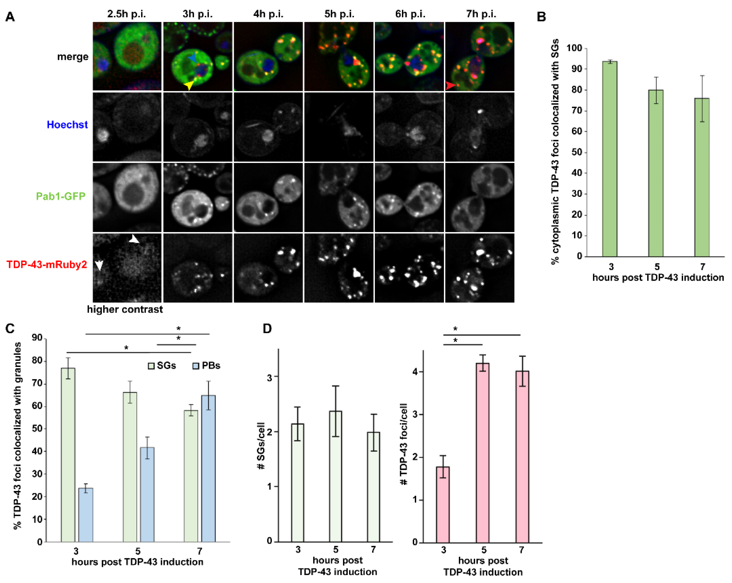 Biomolecules 10 01367 g001 Biomolecules 10 01367 g001