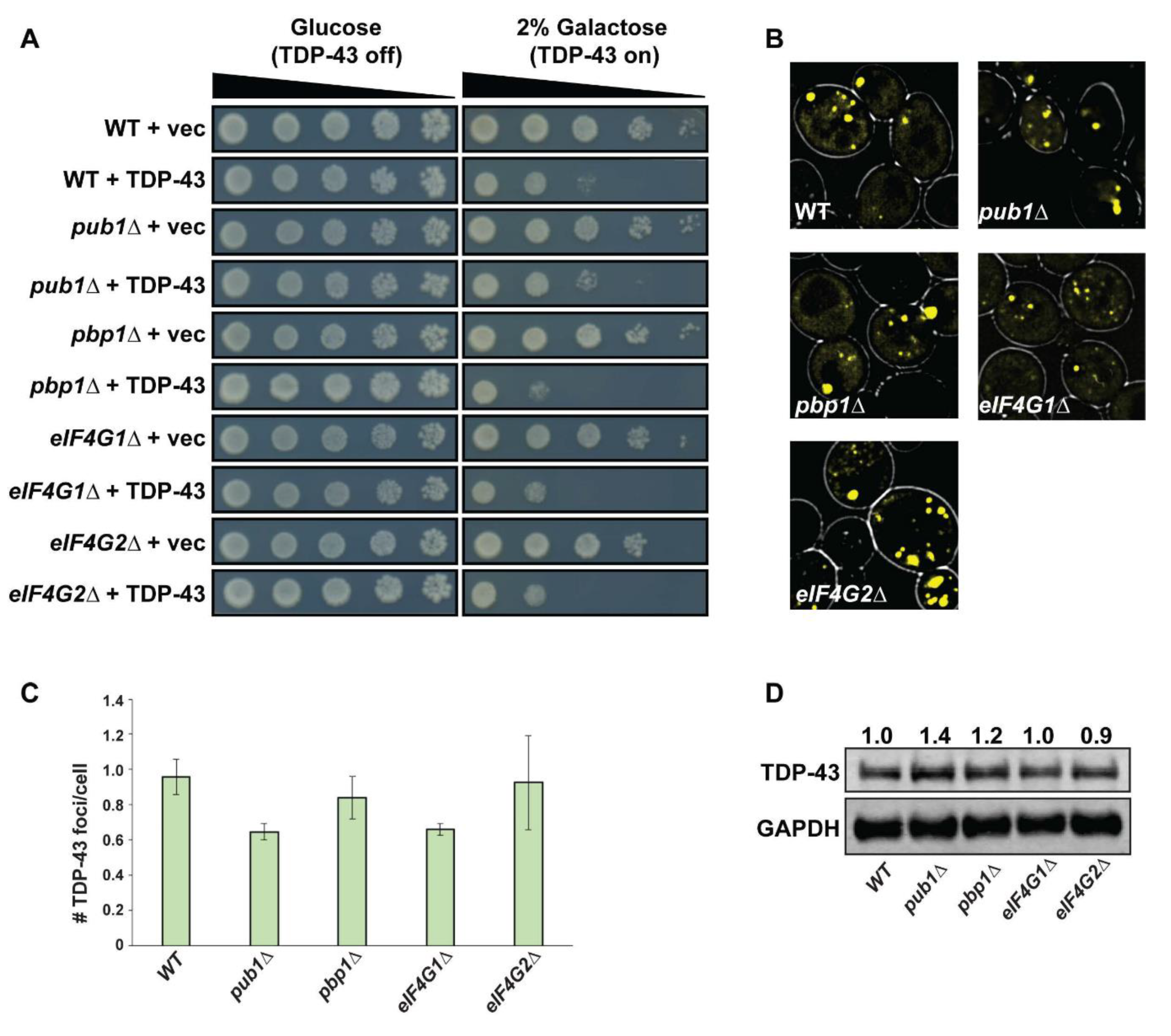 Biomolecules 10 01367 g002 Biomolecules 10 01367 g002