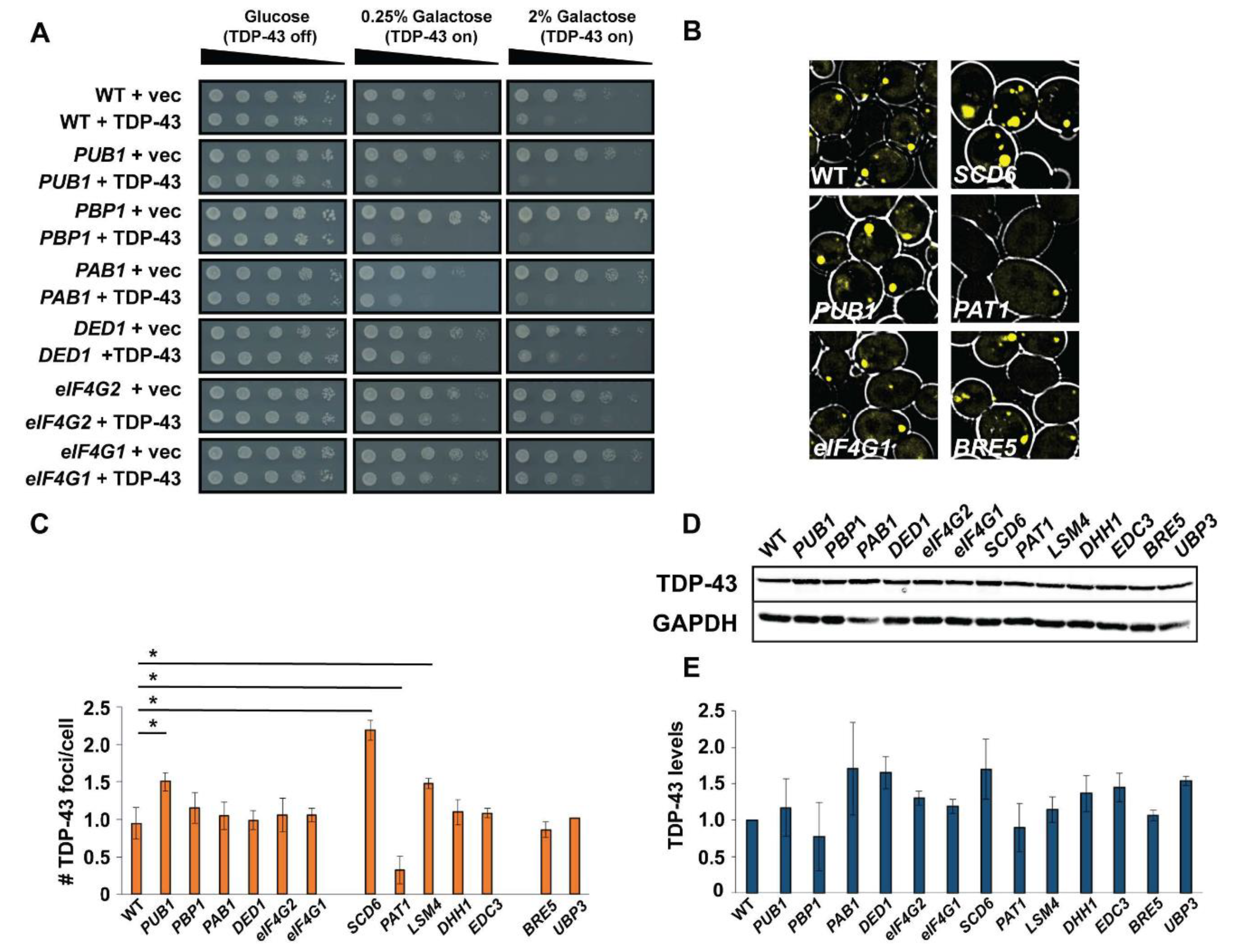 Biomolecules 10 01367 g003 Biomolecules 10 01367 g003