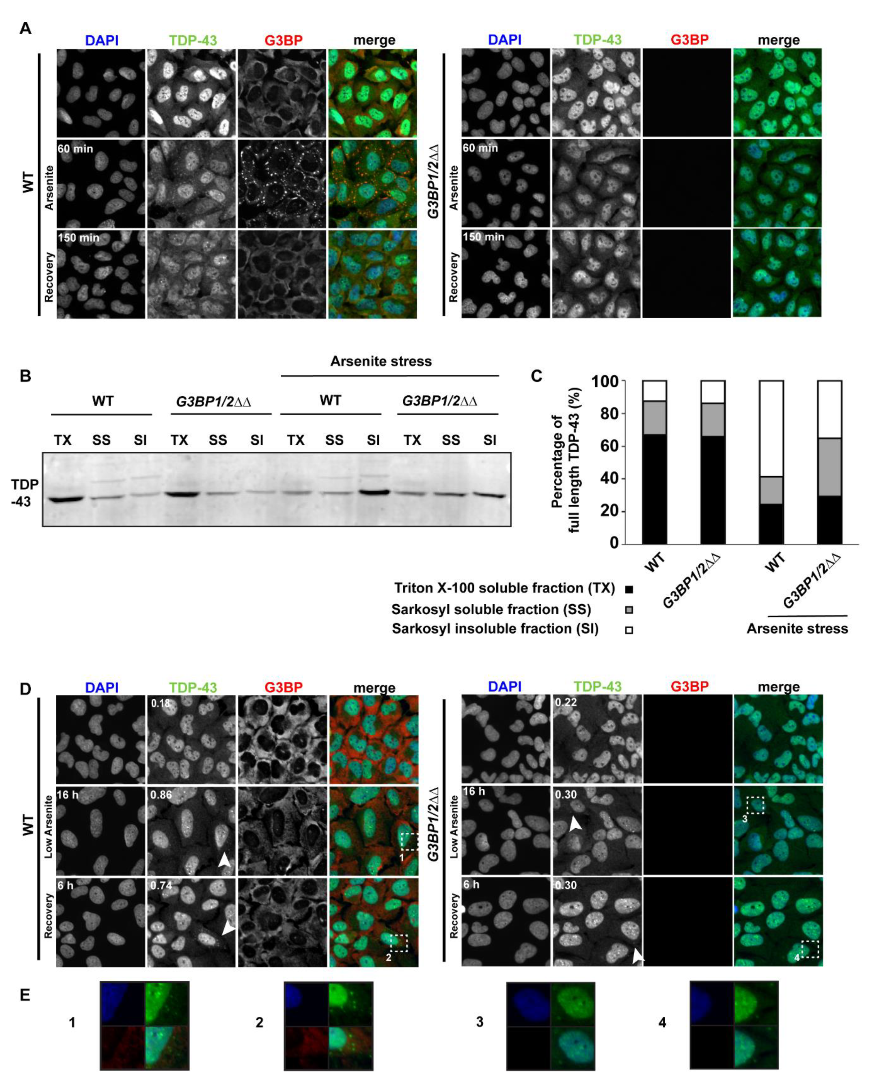 Biomolecules 10 01367 g005 Biomolecules 10 01367 g005