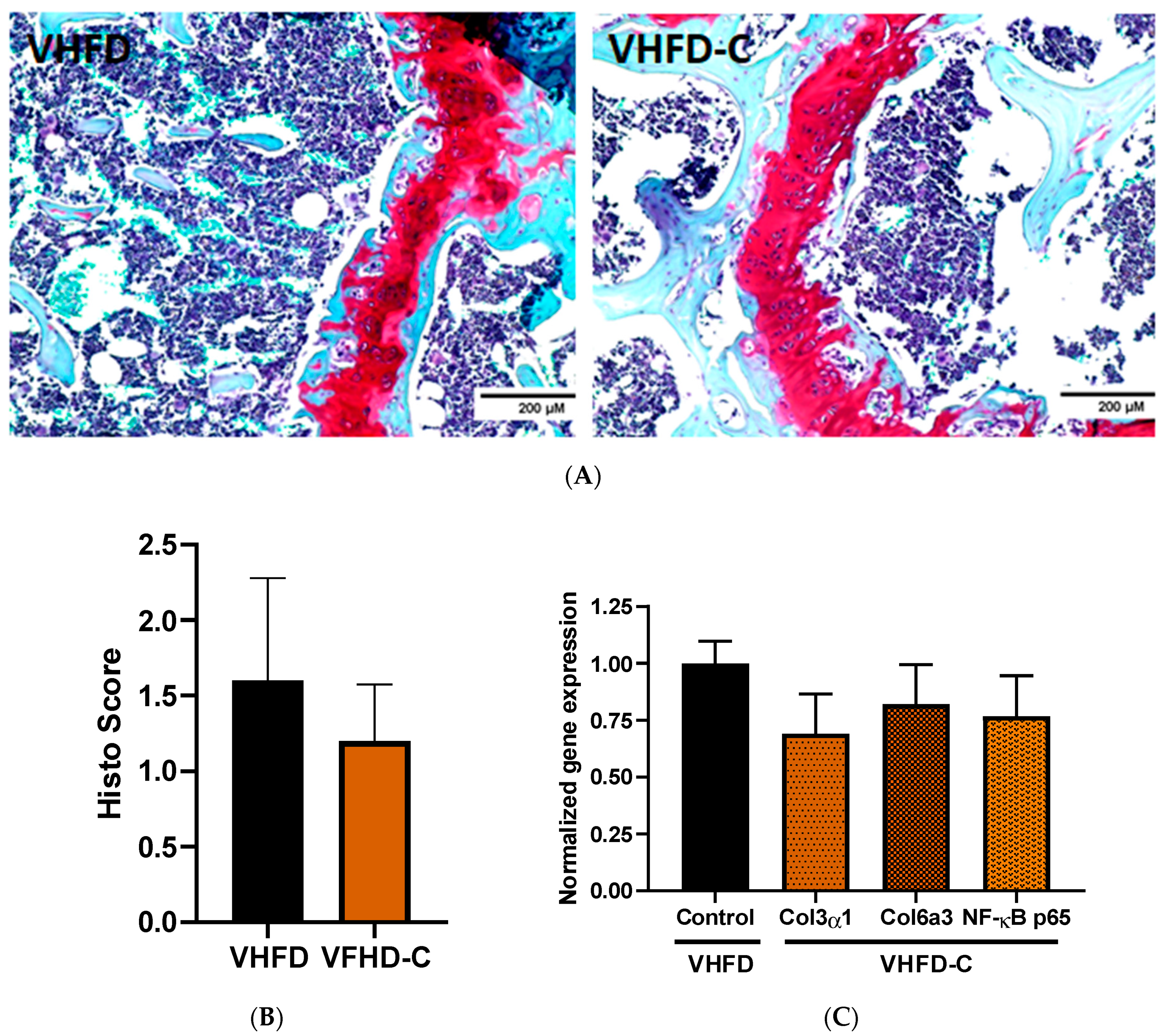 Biomolecules 10 01368 g007 Biomolecules 10 01368 g007