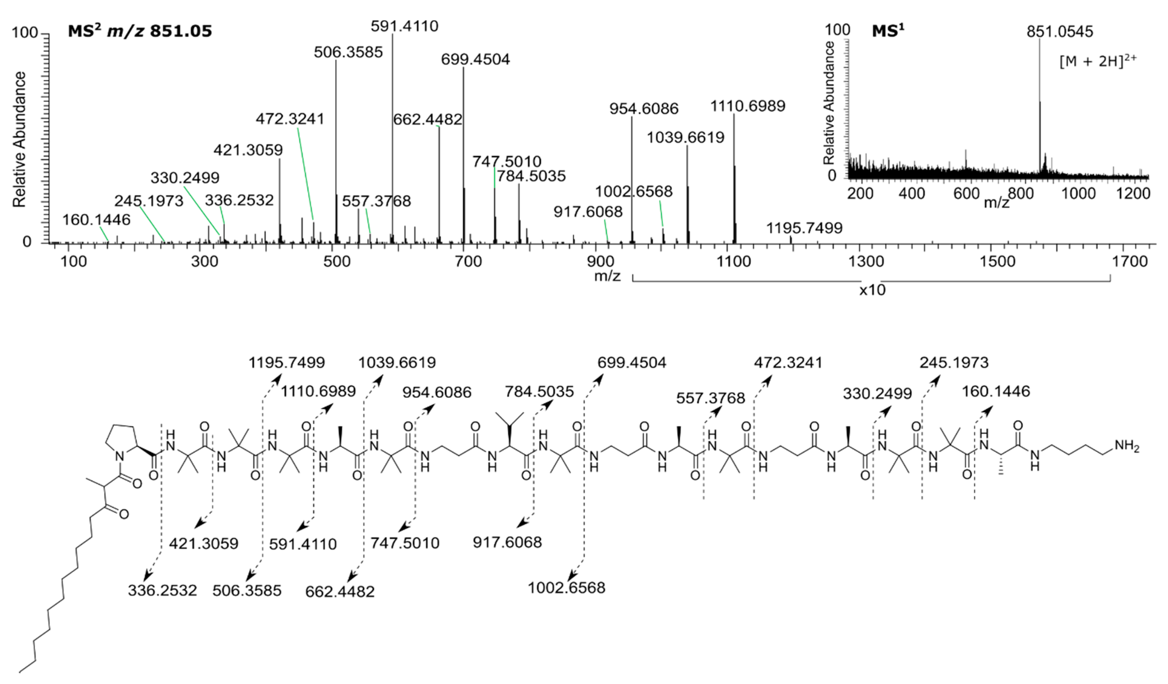 Biomolecules 10 01371 g004