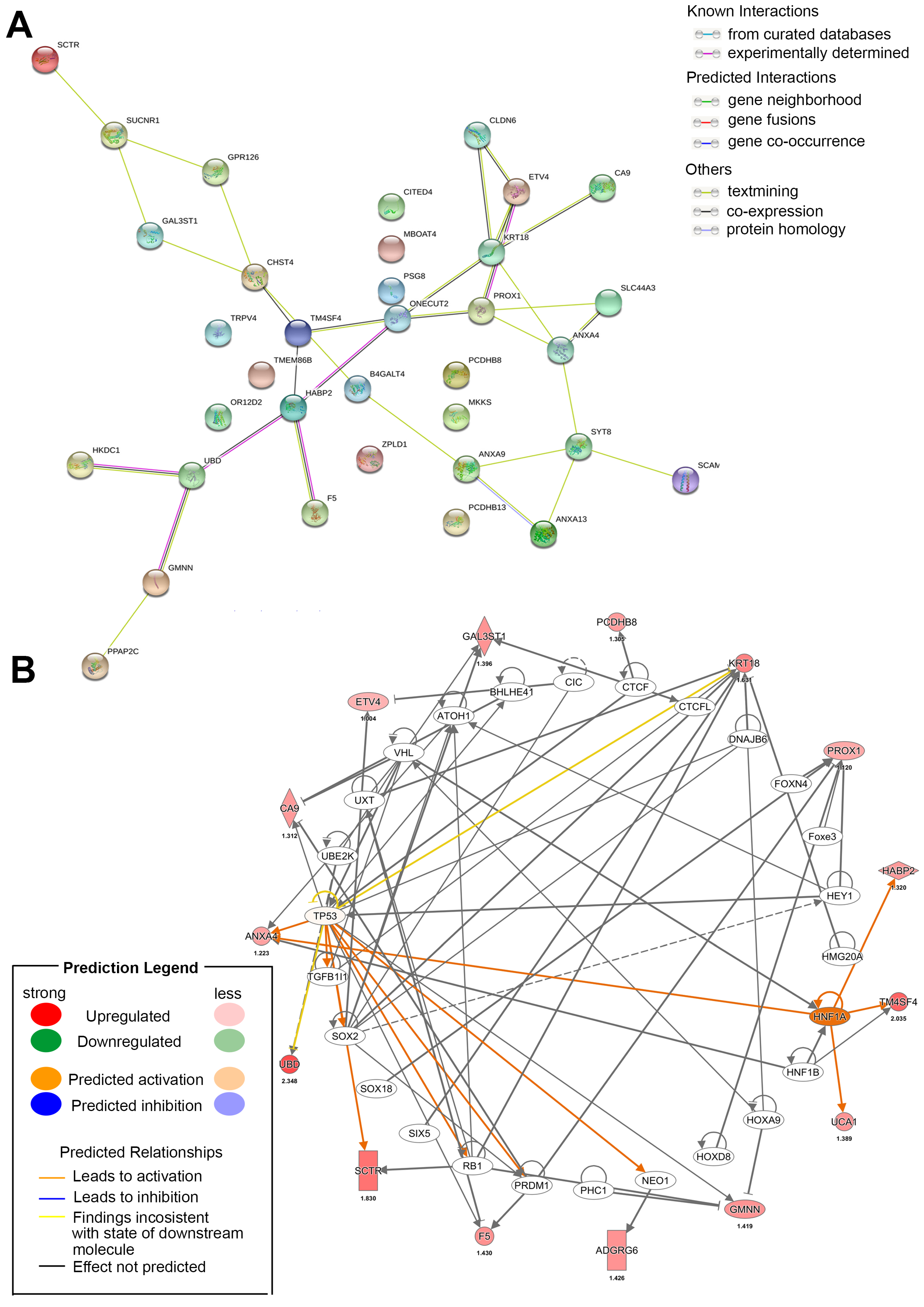 Biomolecules 10 01377 g004