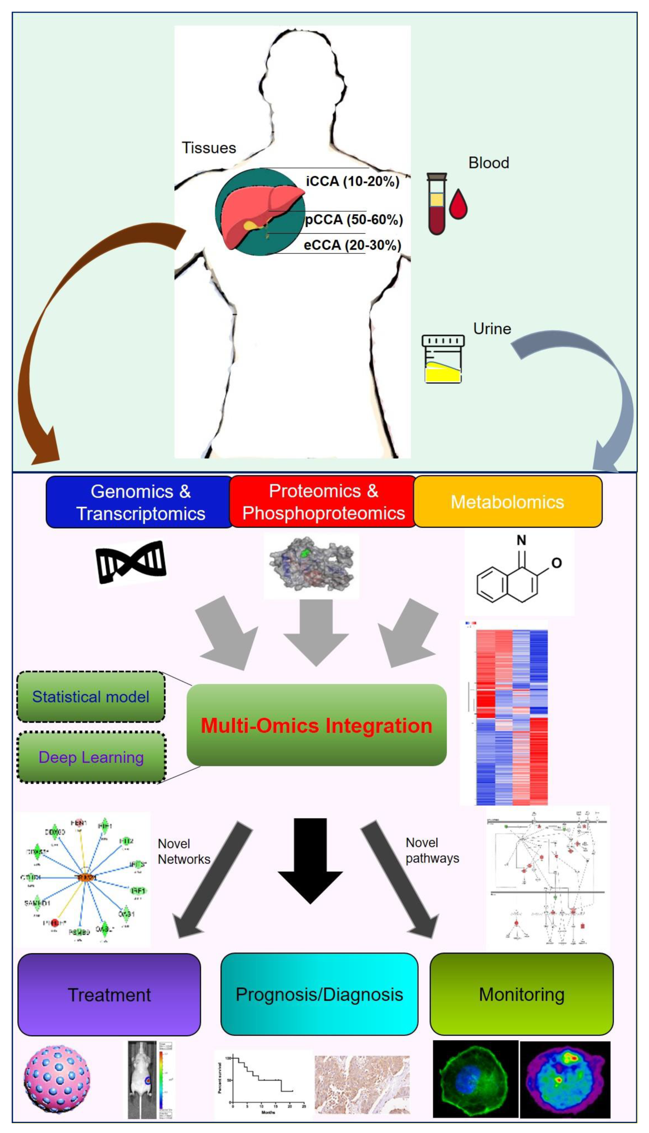 Biomolecules 10 01377 g005