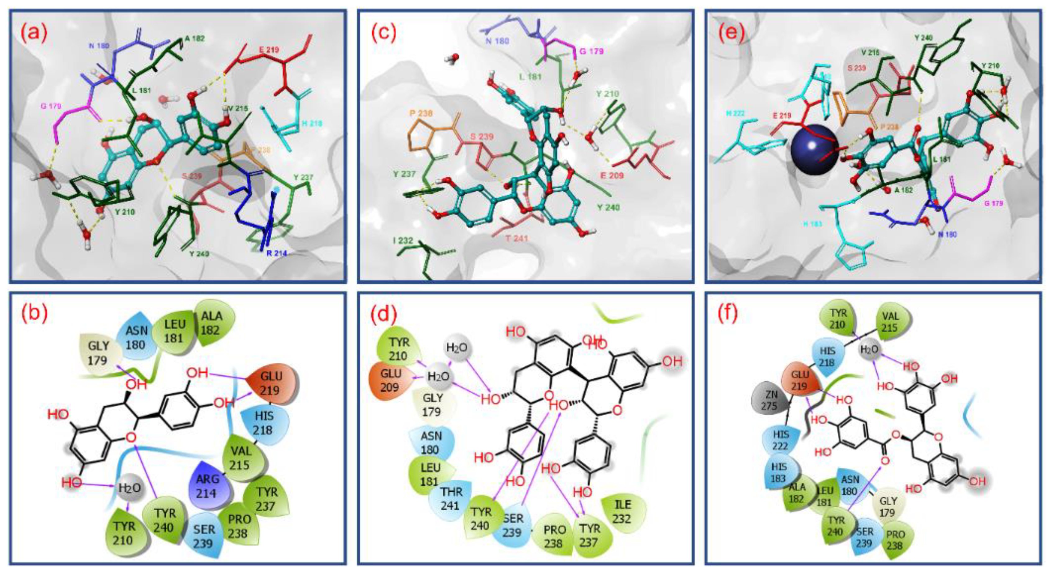 Biomolecules 10 01379 g004