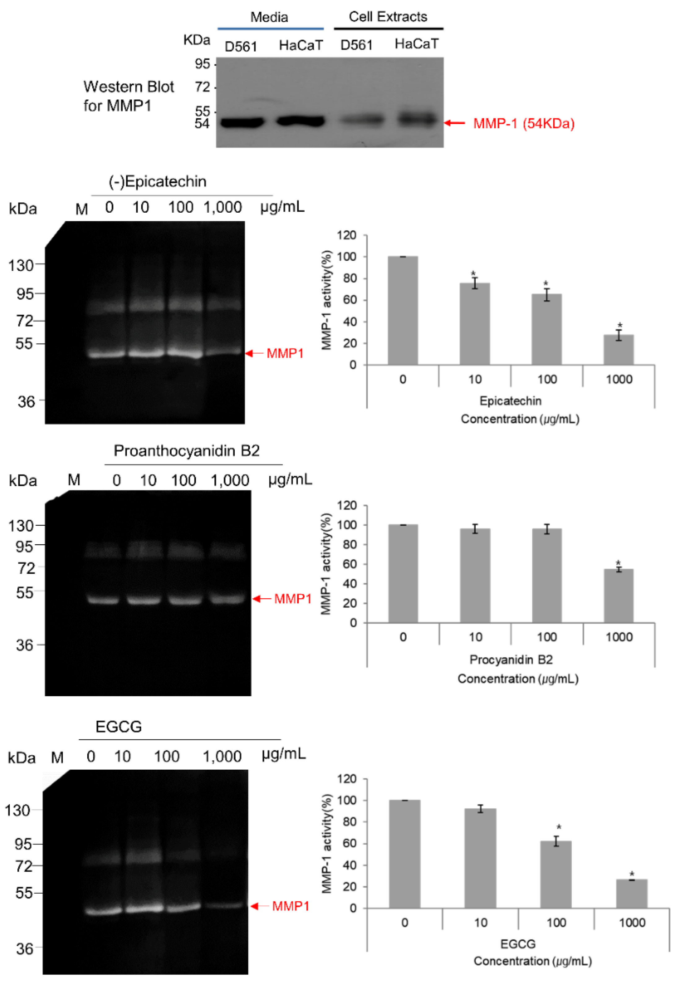 Biomolecules 10 01379 g010