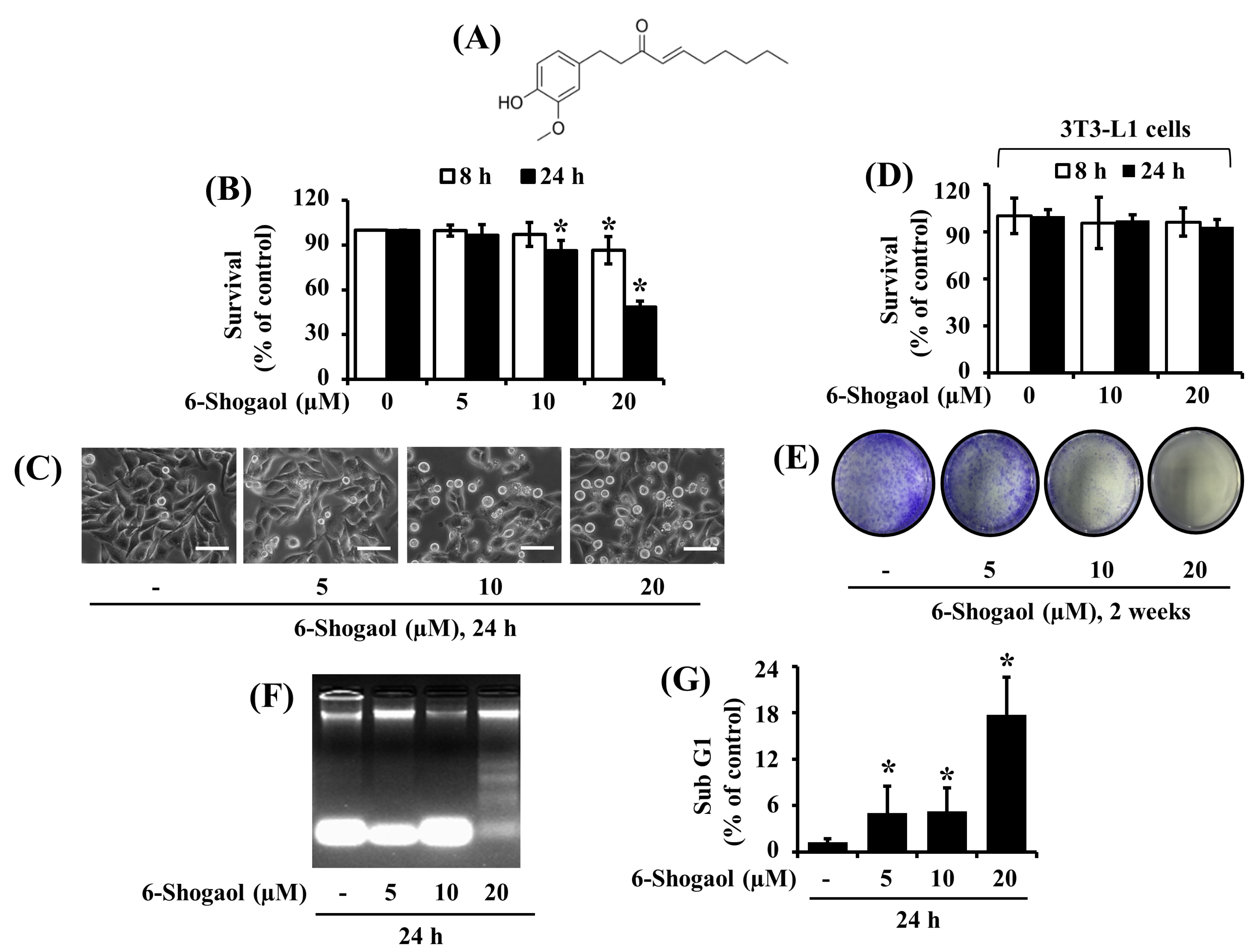 Biomolecules 10 01380 g001
