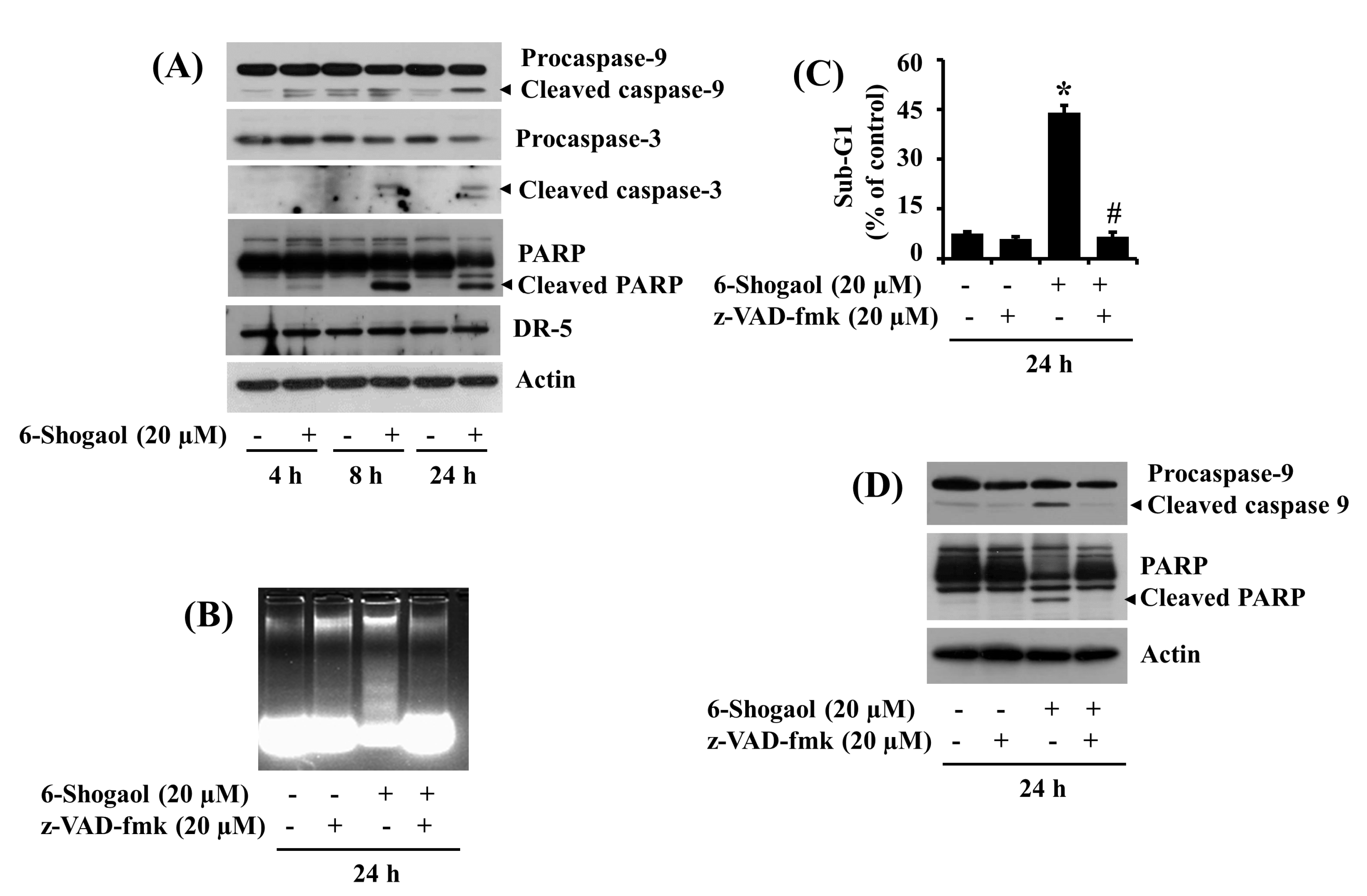 Biomolecules 10 01380 g002