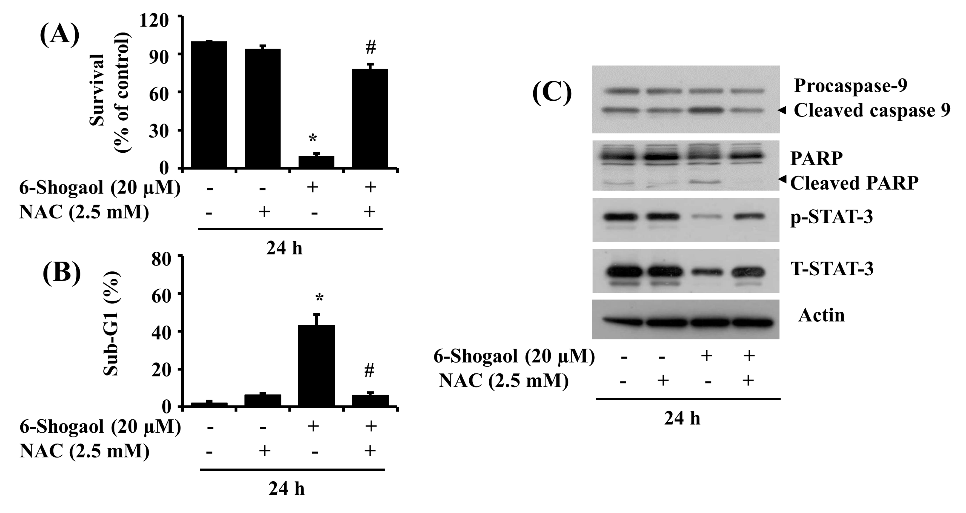 Biomolecules 10 01380 g005