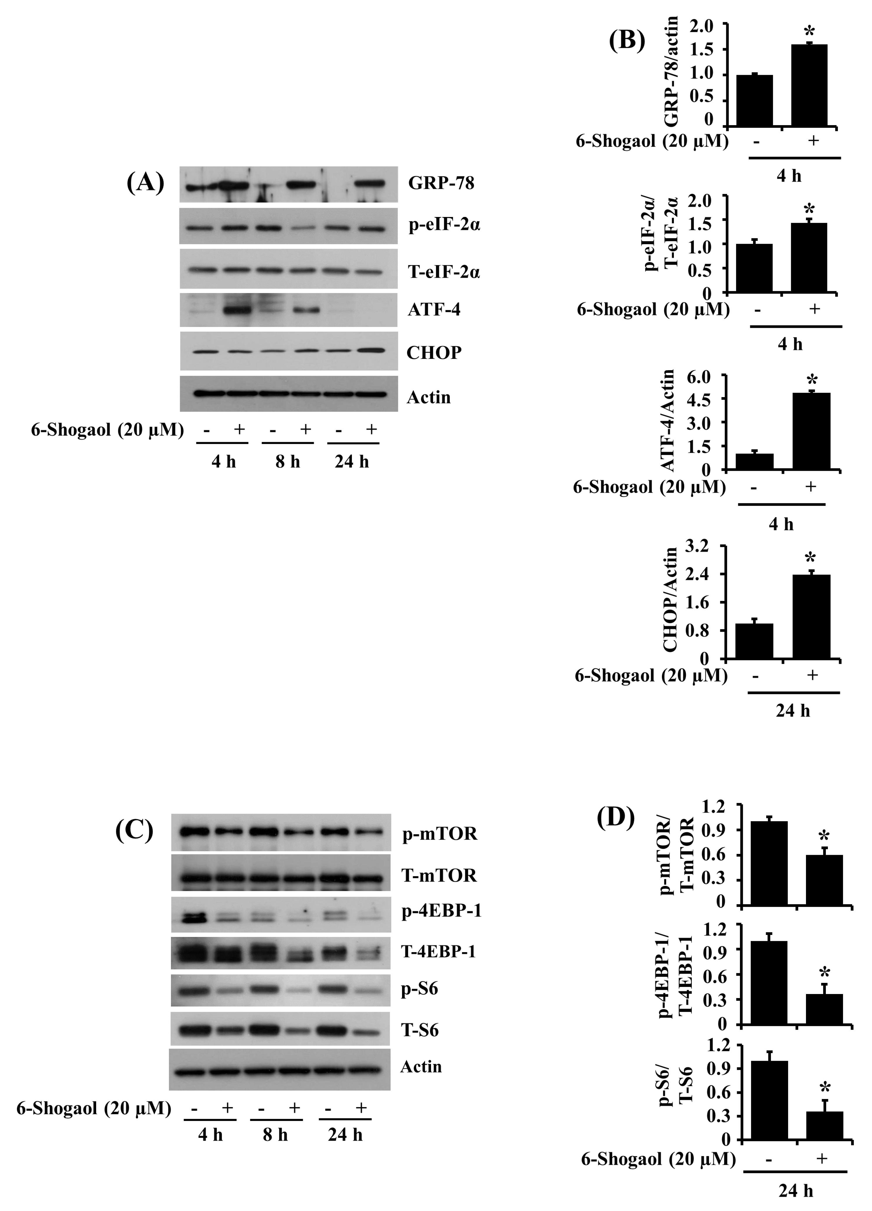Biomolecules 10 01380 g006