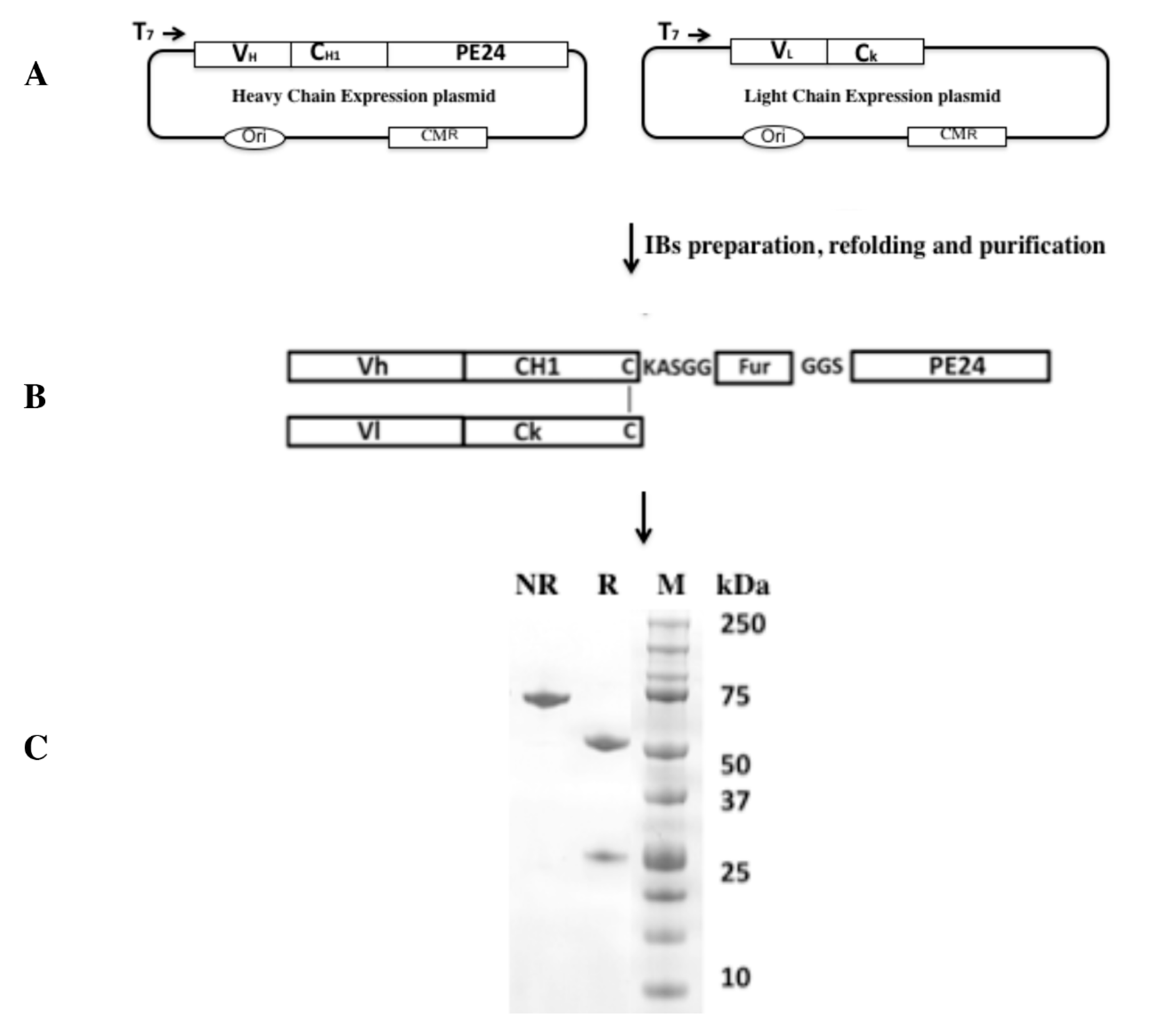Biomolecules 10 01387 g002