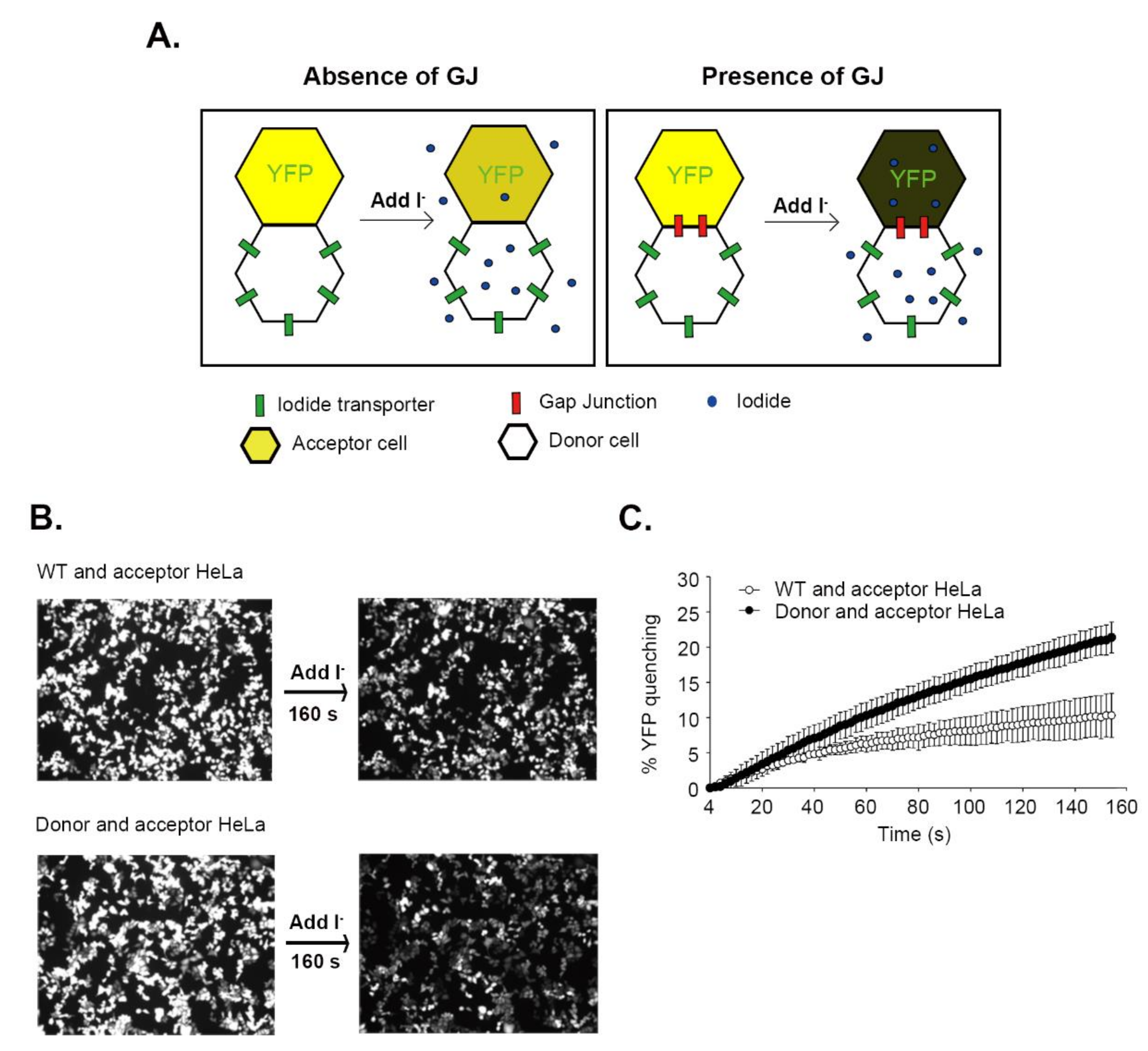 Biomolecules 10 01389 g001