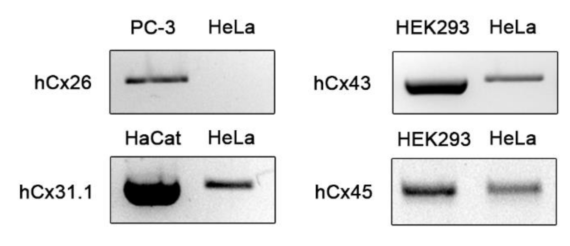 Biomolecules 10 01389 g002