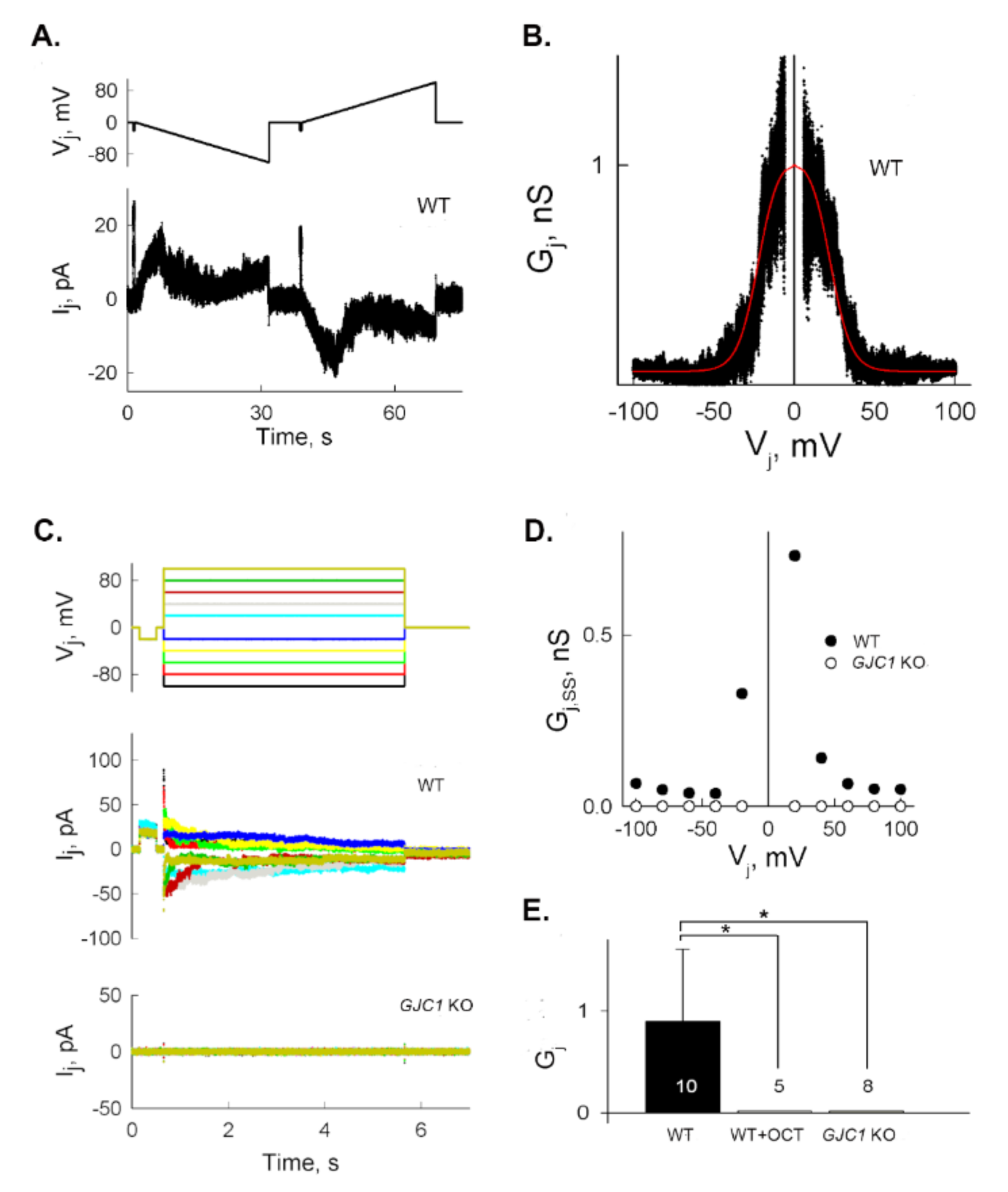 Biomolecules 10 01389 g004