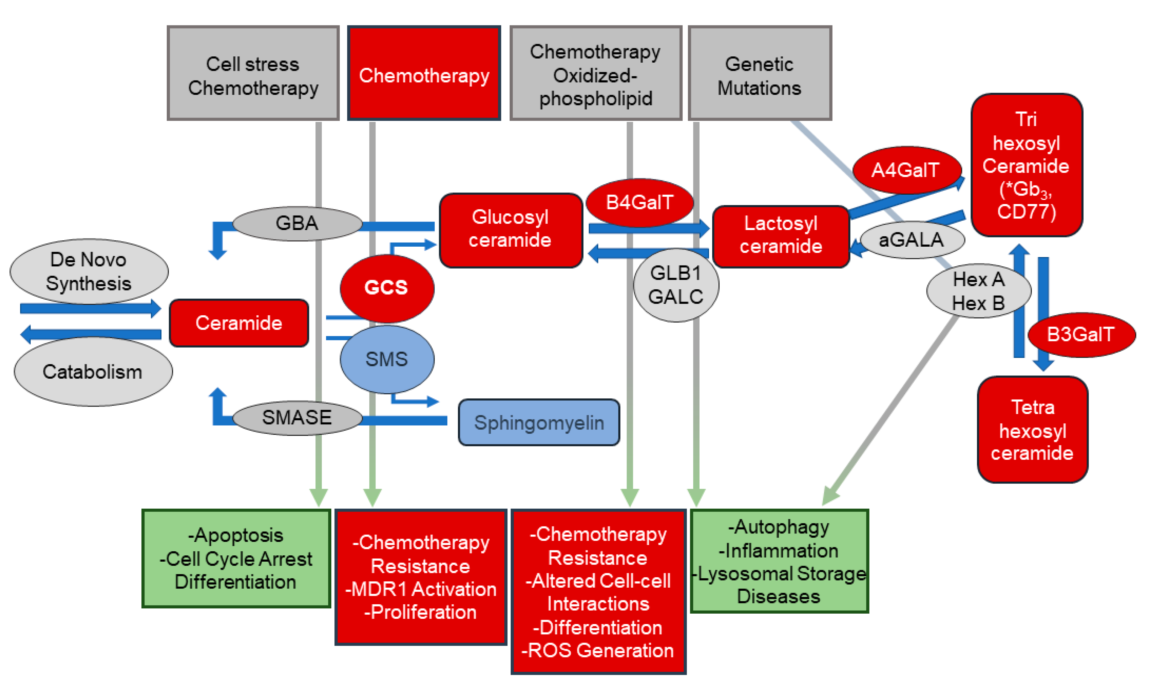 Biomolecules 10 01393 g001 Biomolecules 10 01393 g001