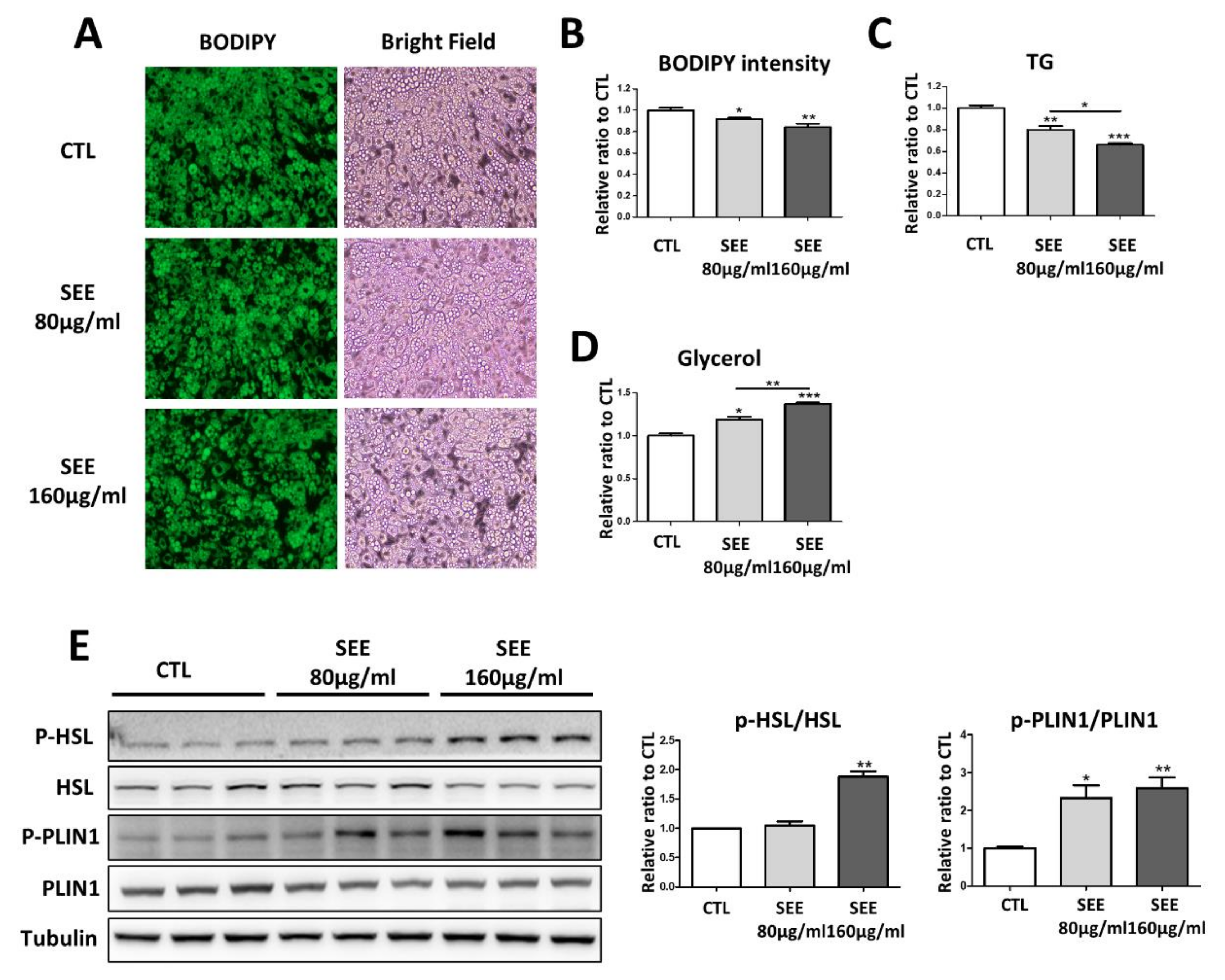 Biomolecules 10 01394 g001