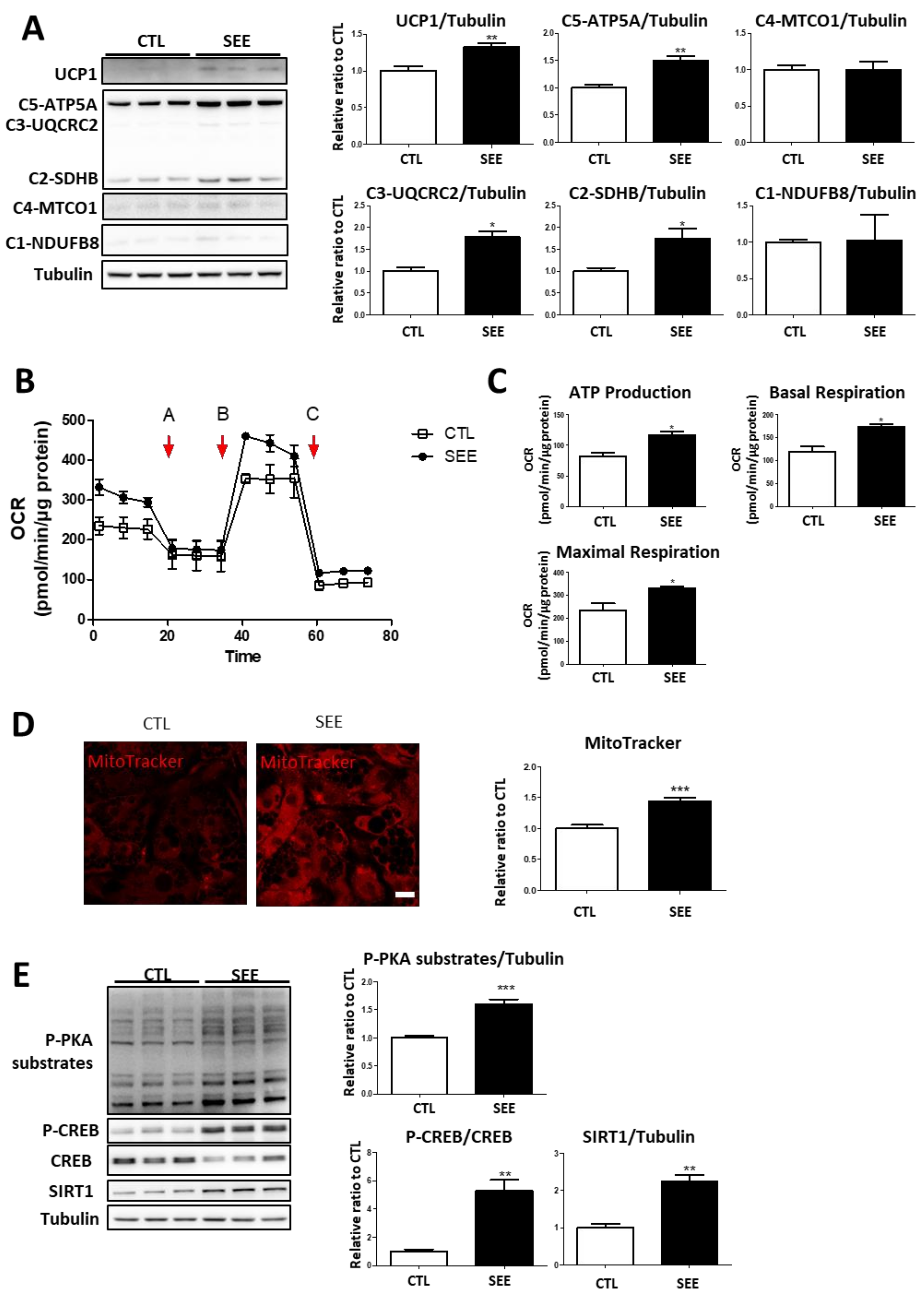 Biomolecules 10 01394 g002