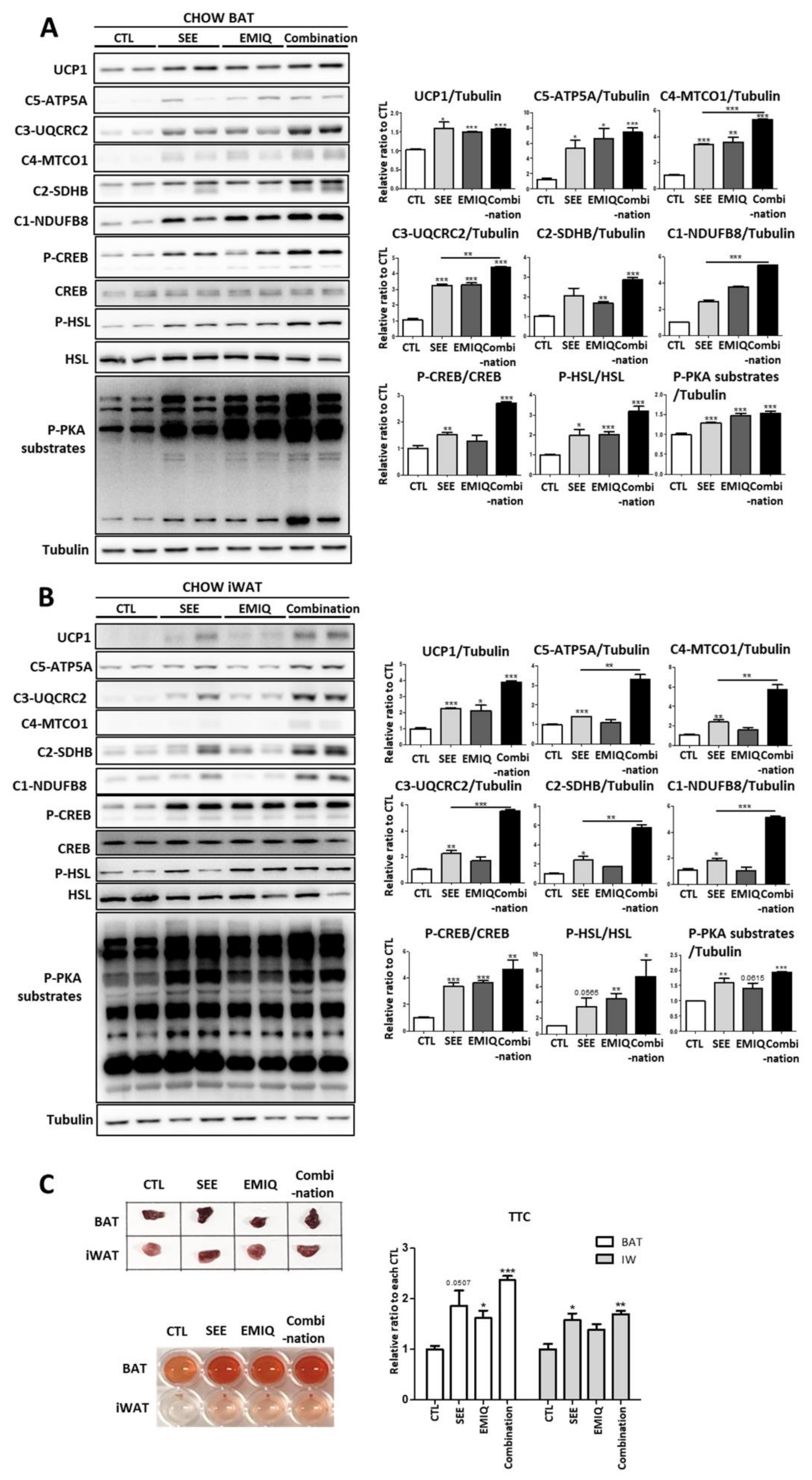 Biomolecules 10 01394 g003