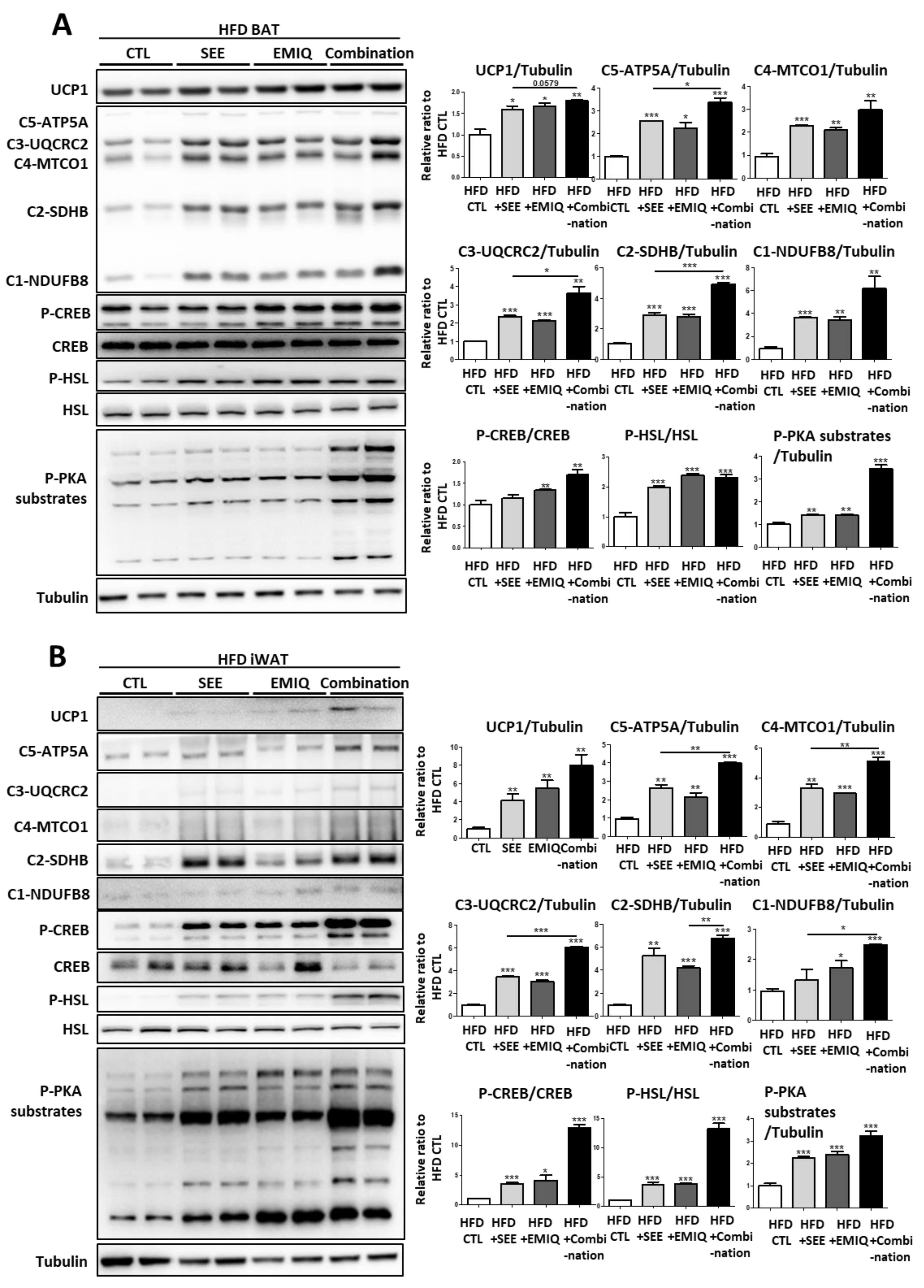Biomolecules 10 01394 g005