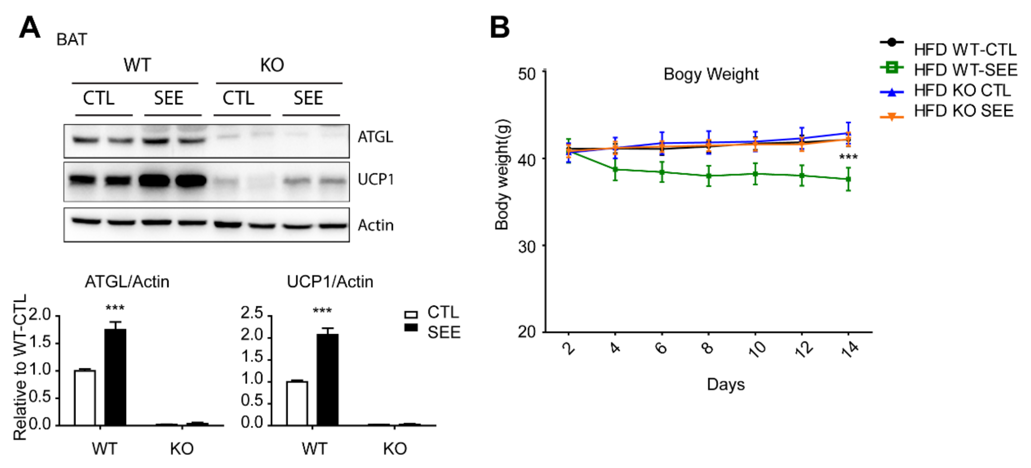 Biomolecules 10 01394 g006
