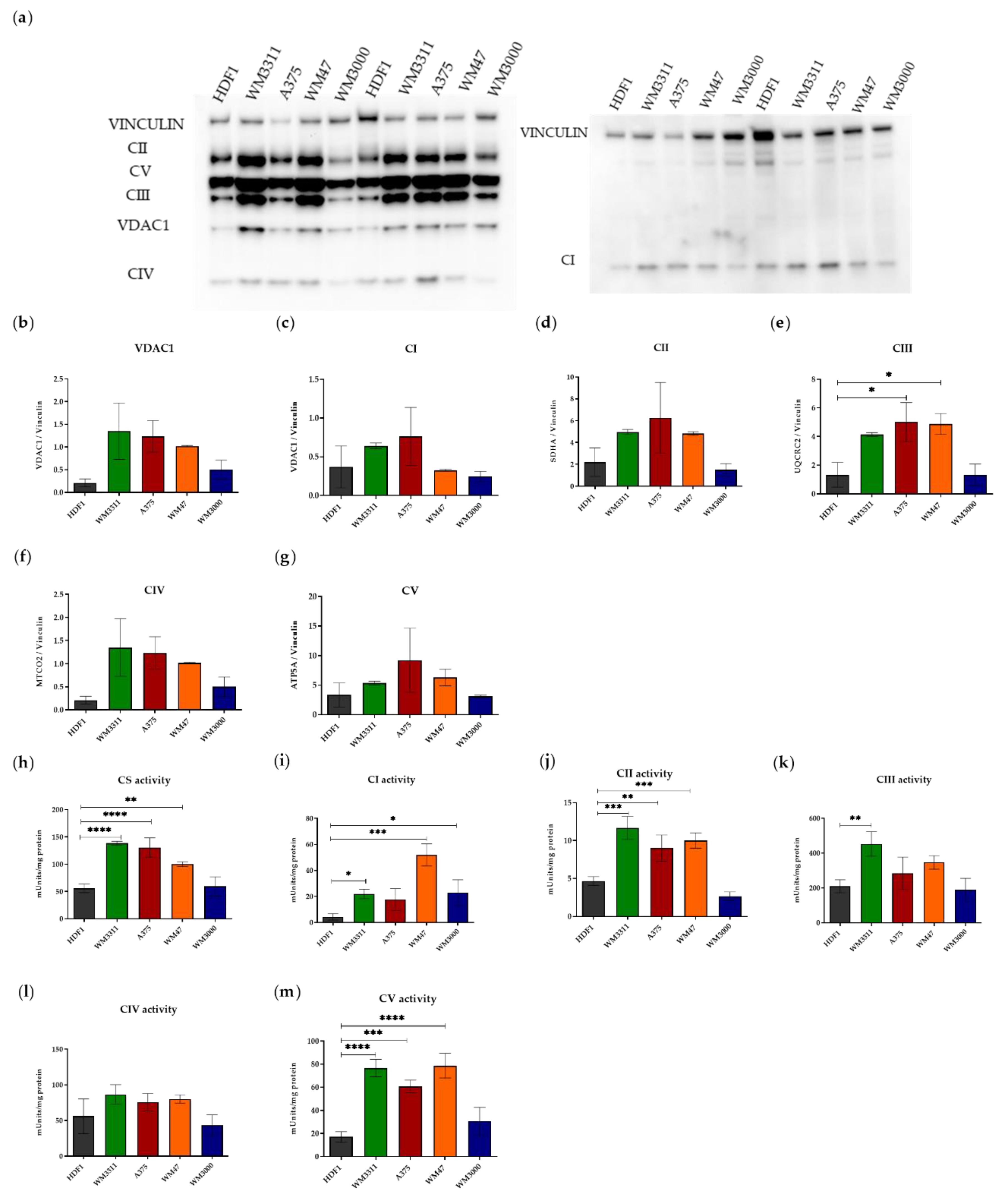 Biomolecules 10 01395 g001