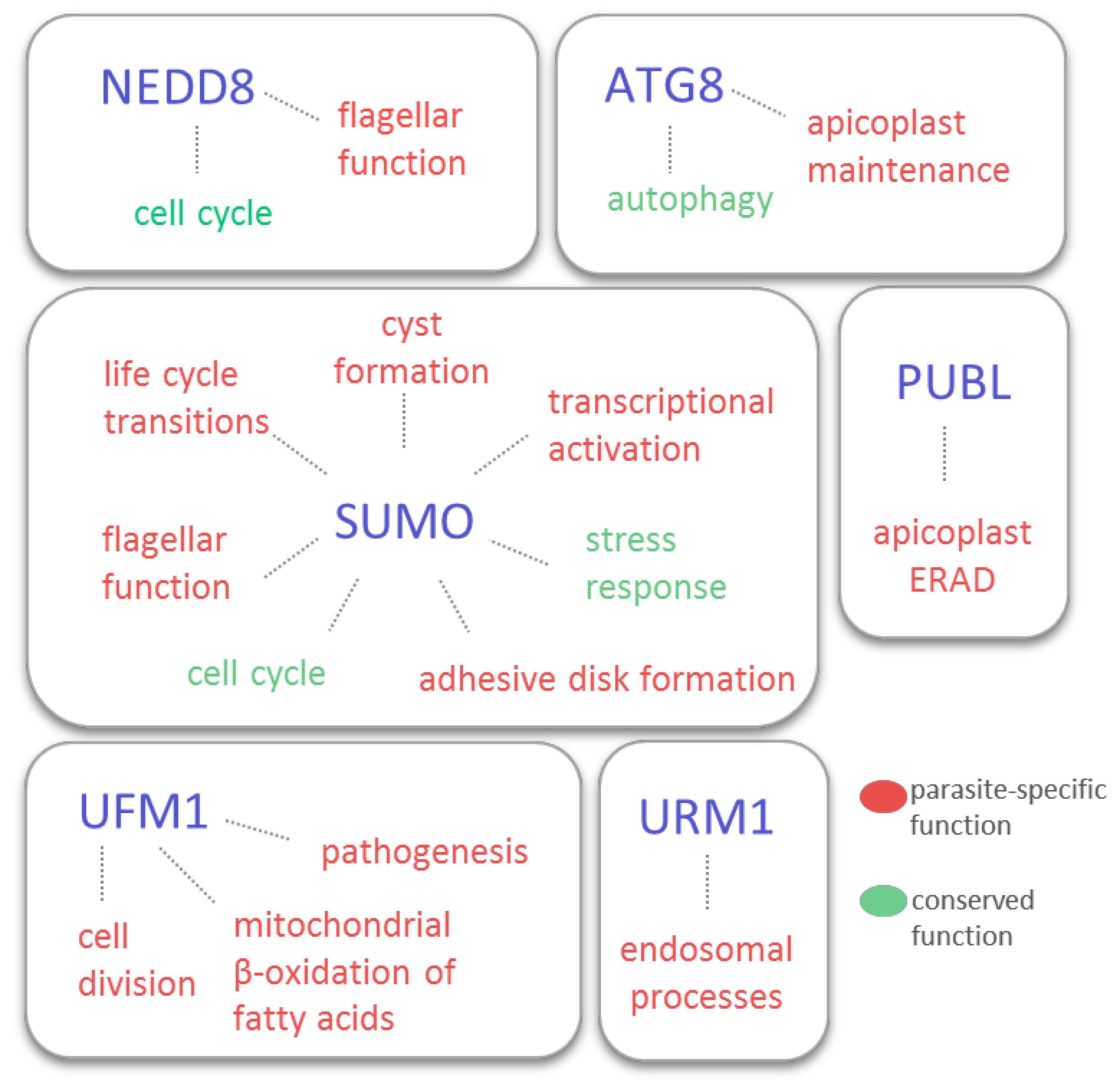 Biomolecules 10 01403 g002 Biomolecules 10 01403 g002