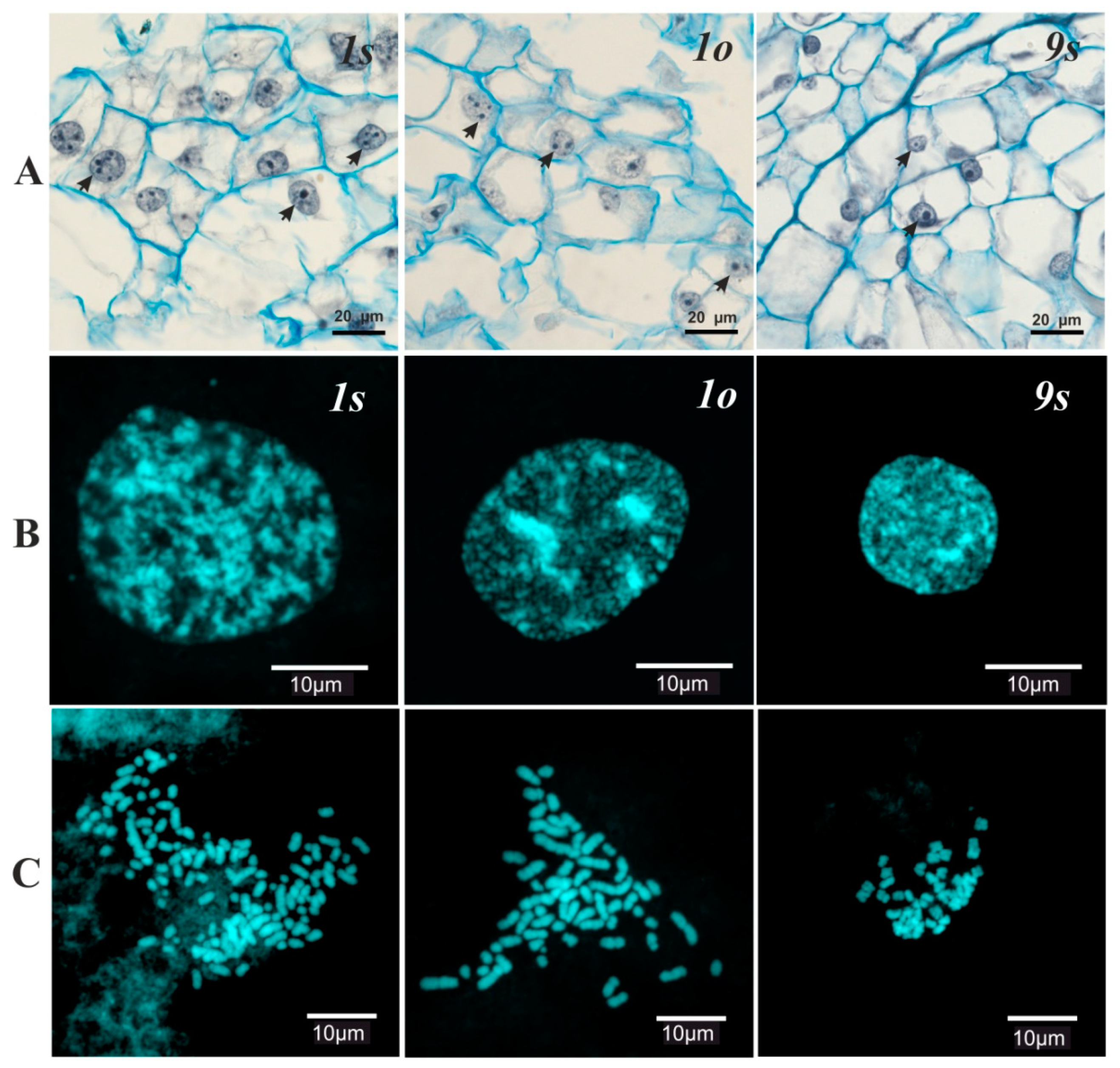 Biomolecules 10 01410 g002 Biomolecules 10 01410 g002