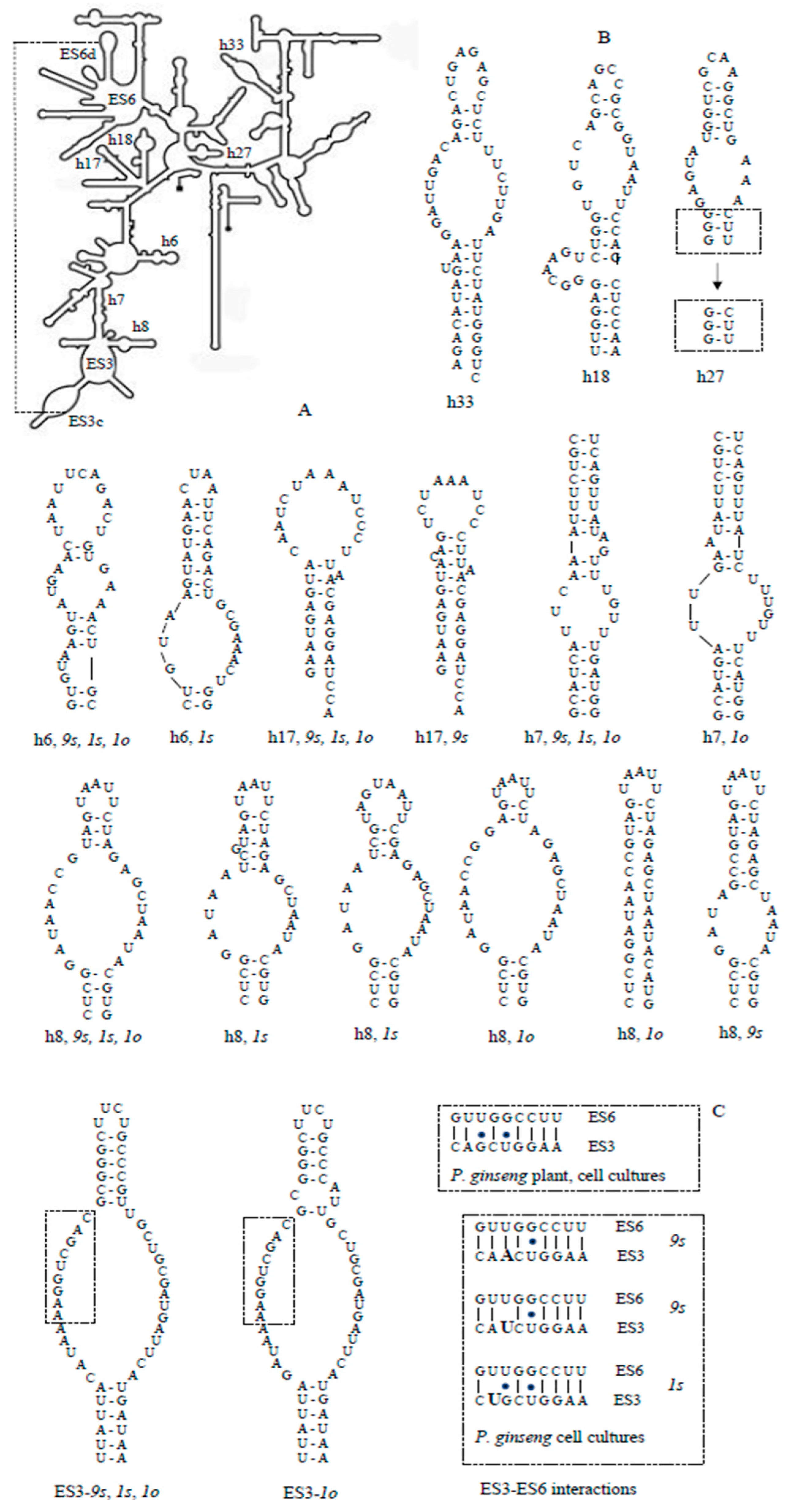 Biomolecules 10 01410 g004 Biomolecules 10 01410 g004