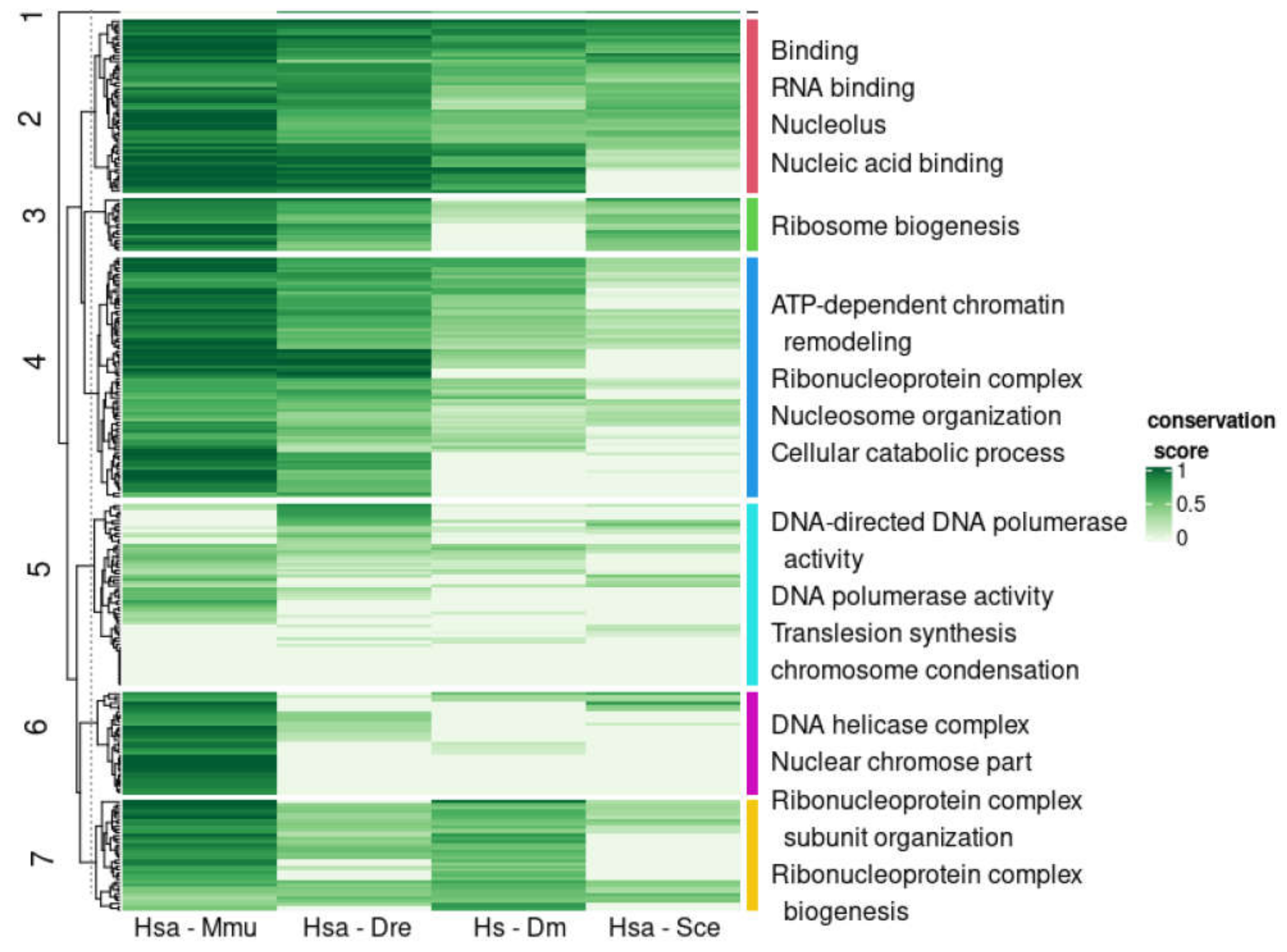 Biomolecules 10 01413 g004 Biomolecules 10 01413 g004