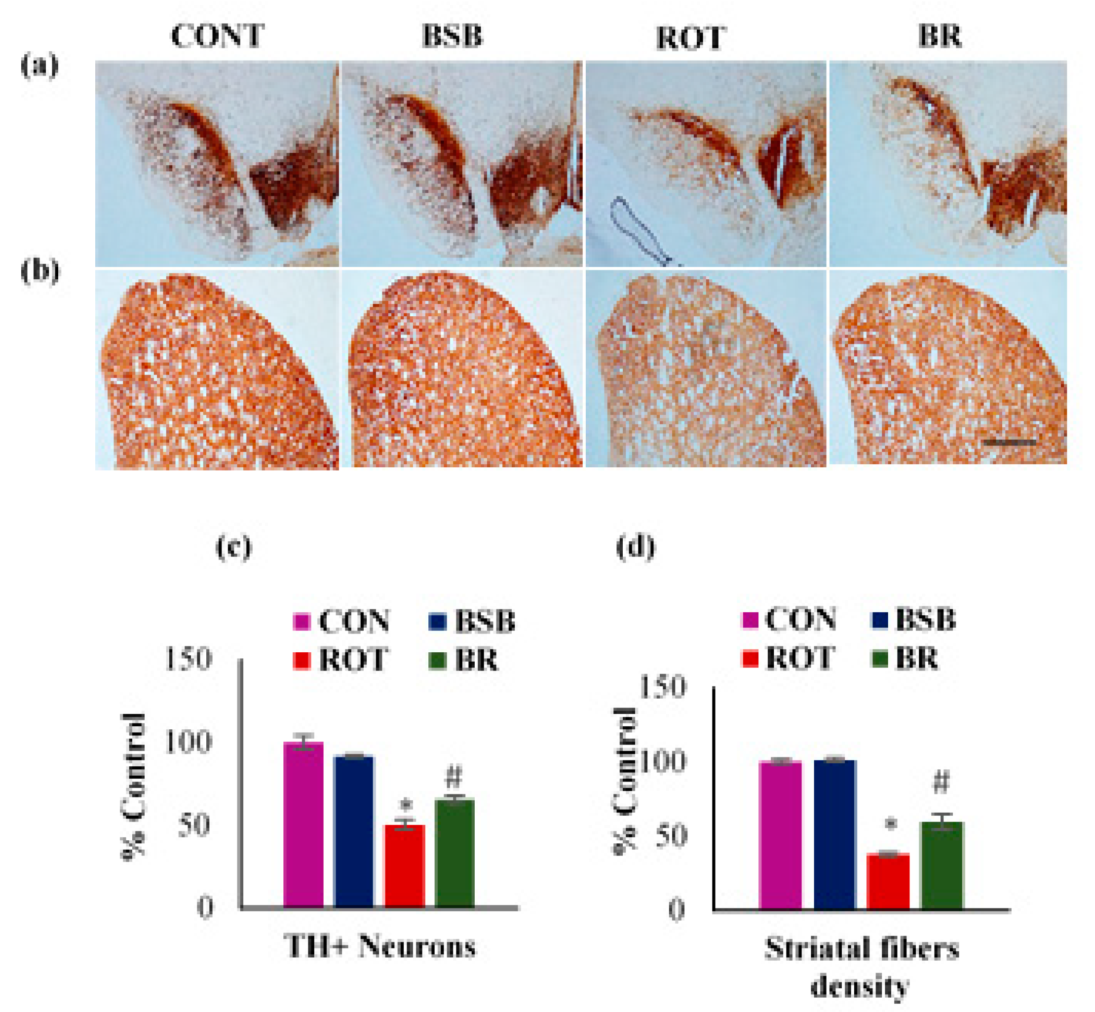 Biomolecules 10 01421 g002
