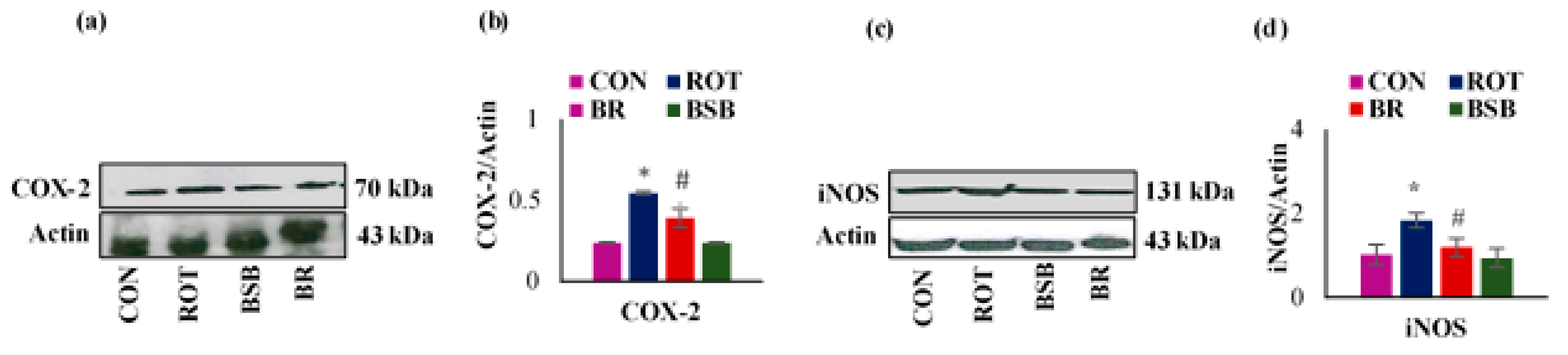 Biomolecules 10 01421 g007